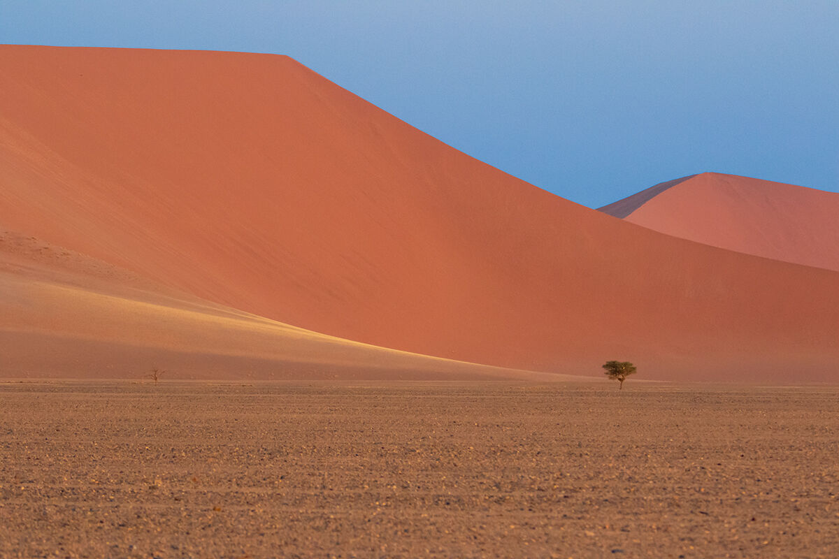 Namib Desert