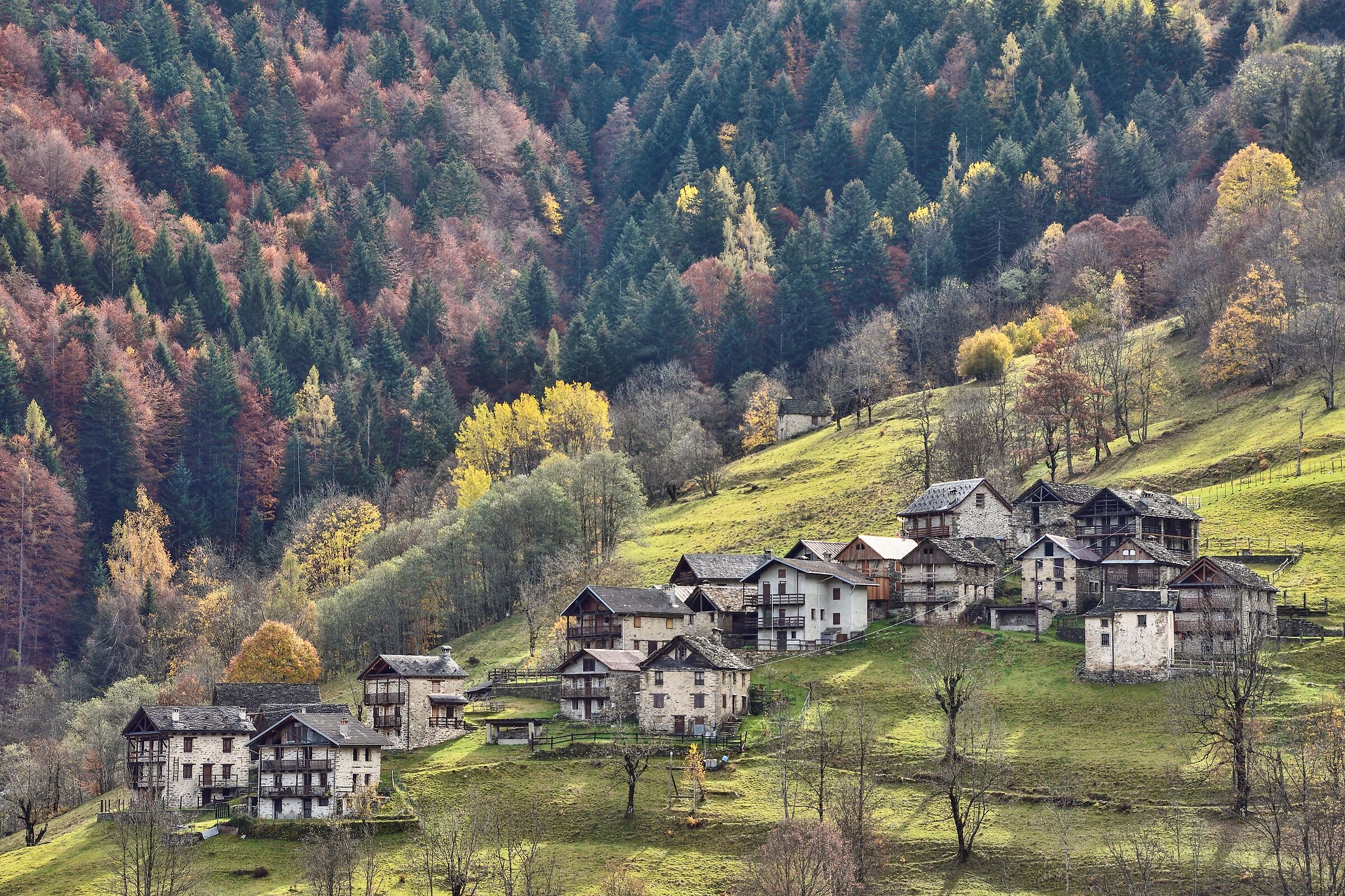 autunno 2020 ValSesia-Val Mastallone