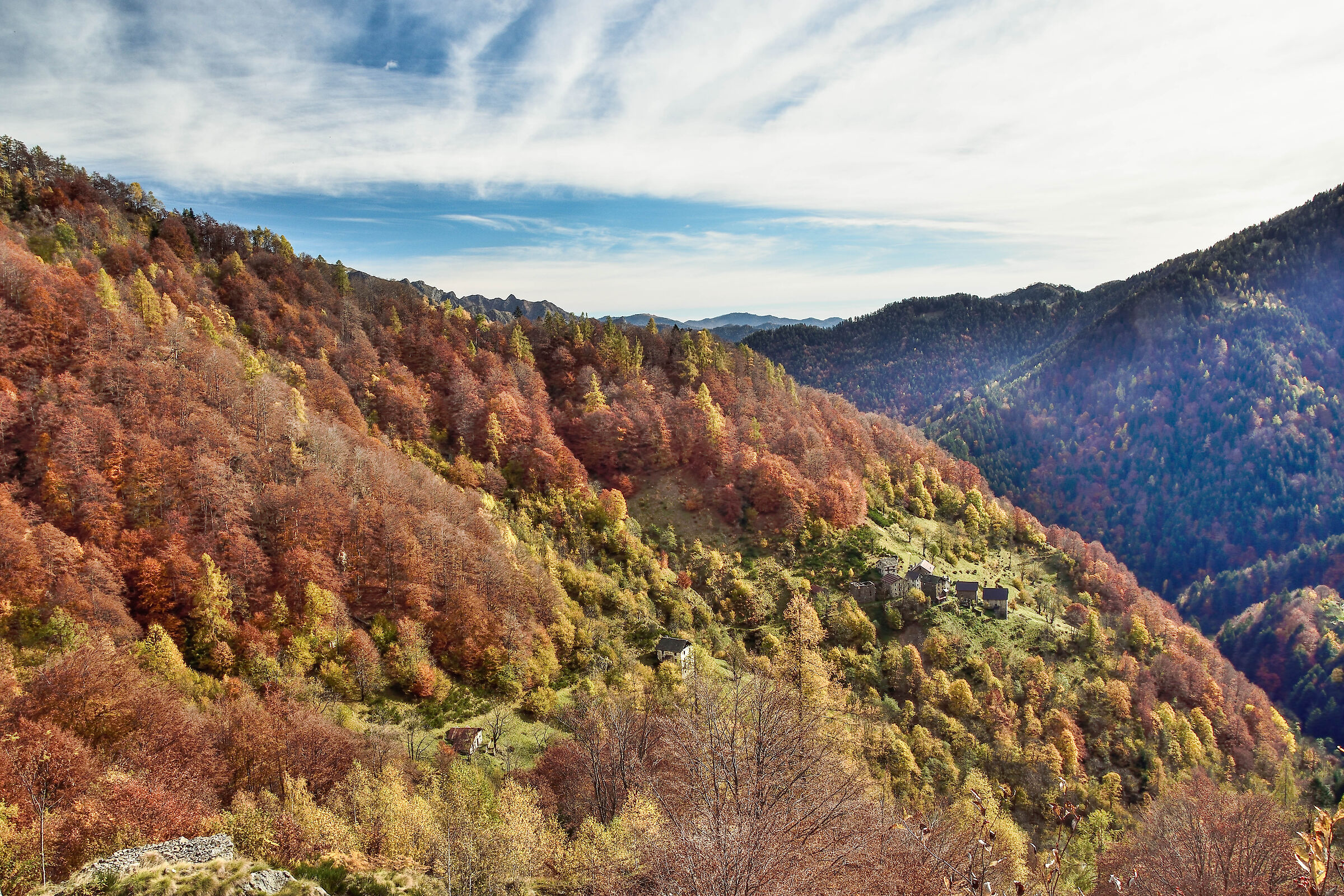 autunno 2020 ValSesia-Val Mastallone