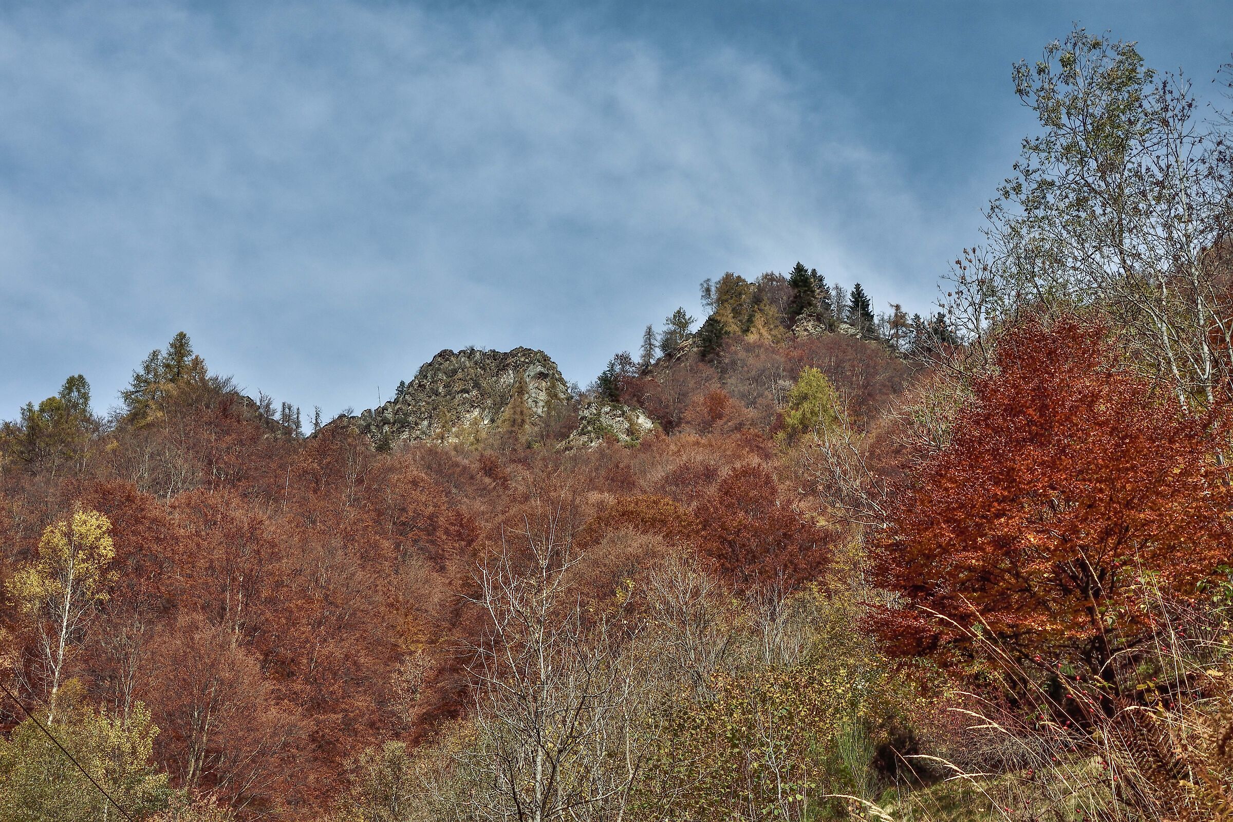 autunno 2020 ValSesia-Val Mastallone