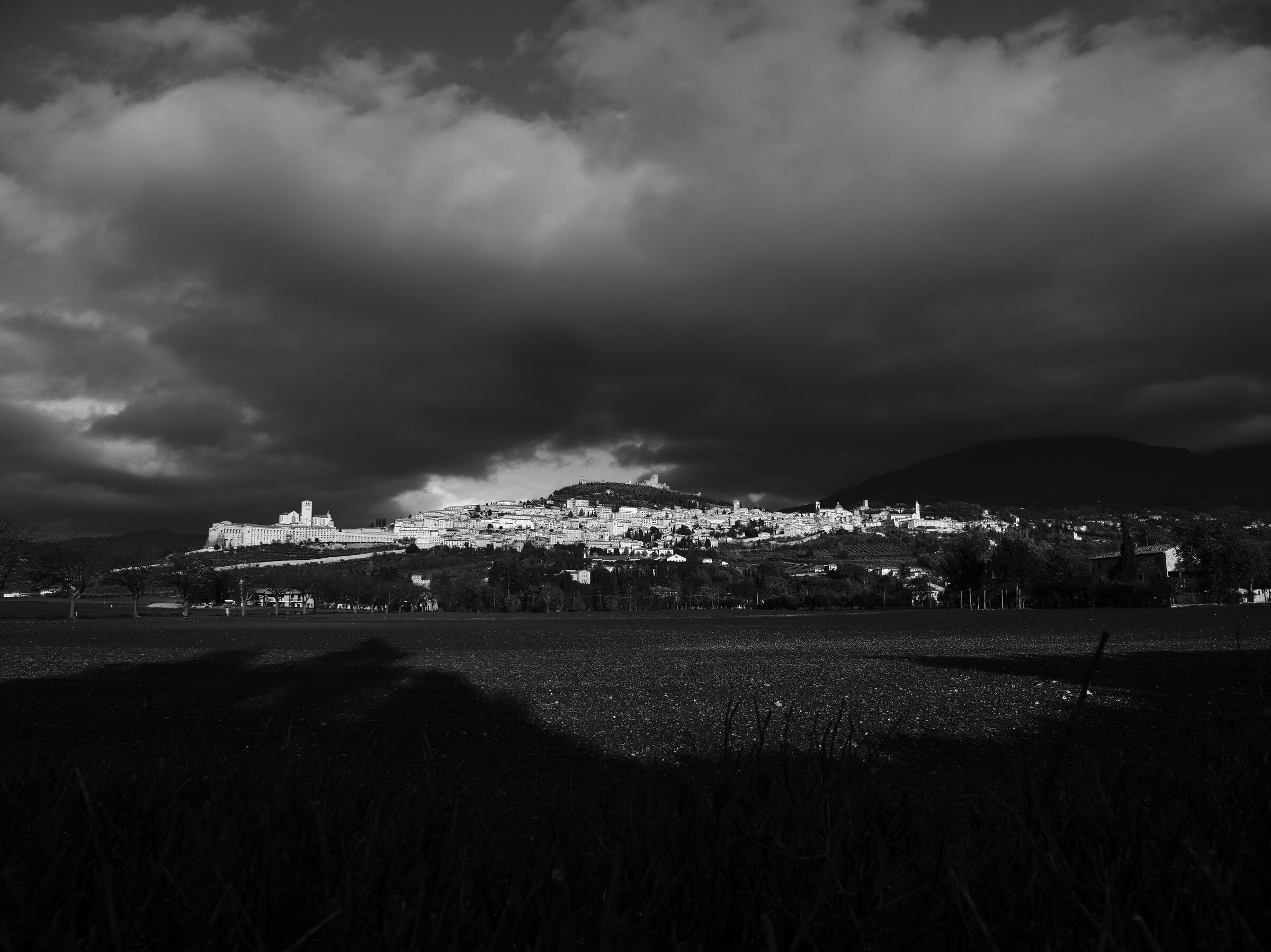 Assisi