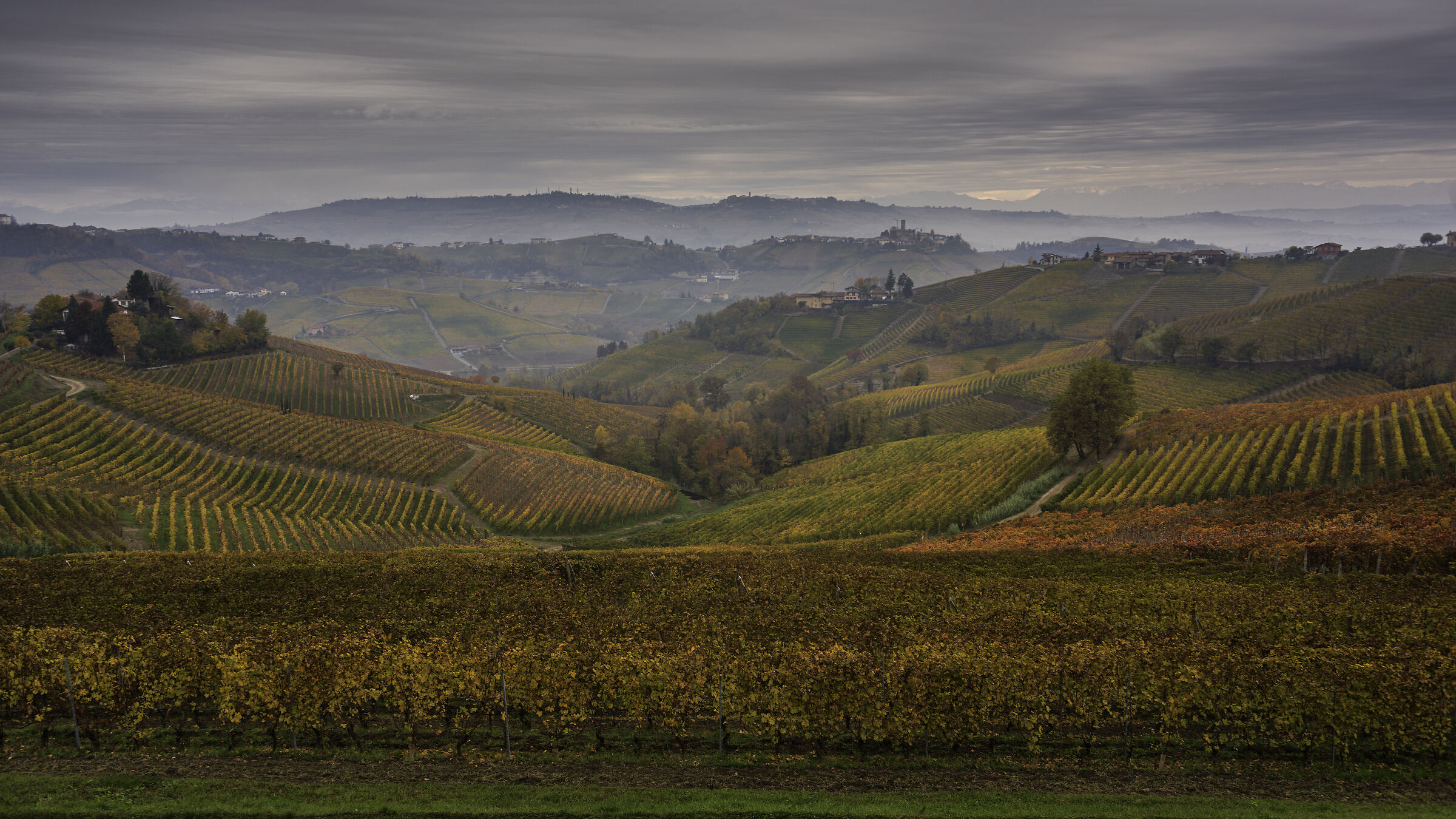 Gloomy sunrise over the Langhe