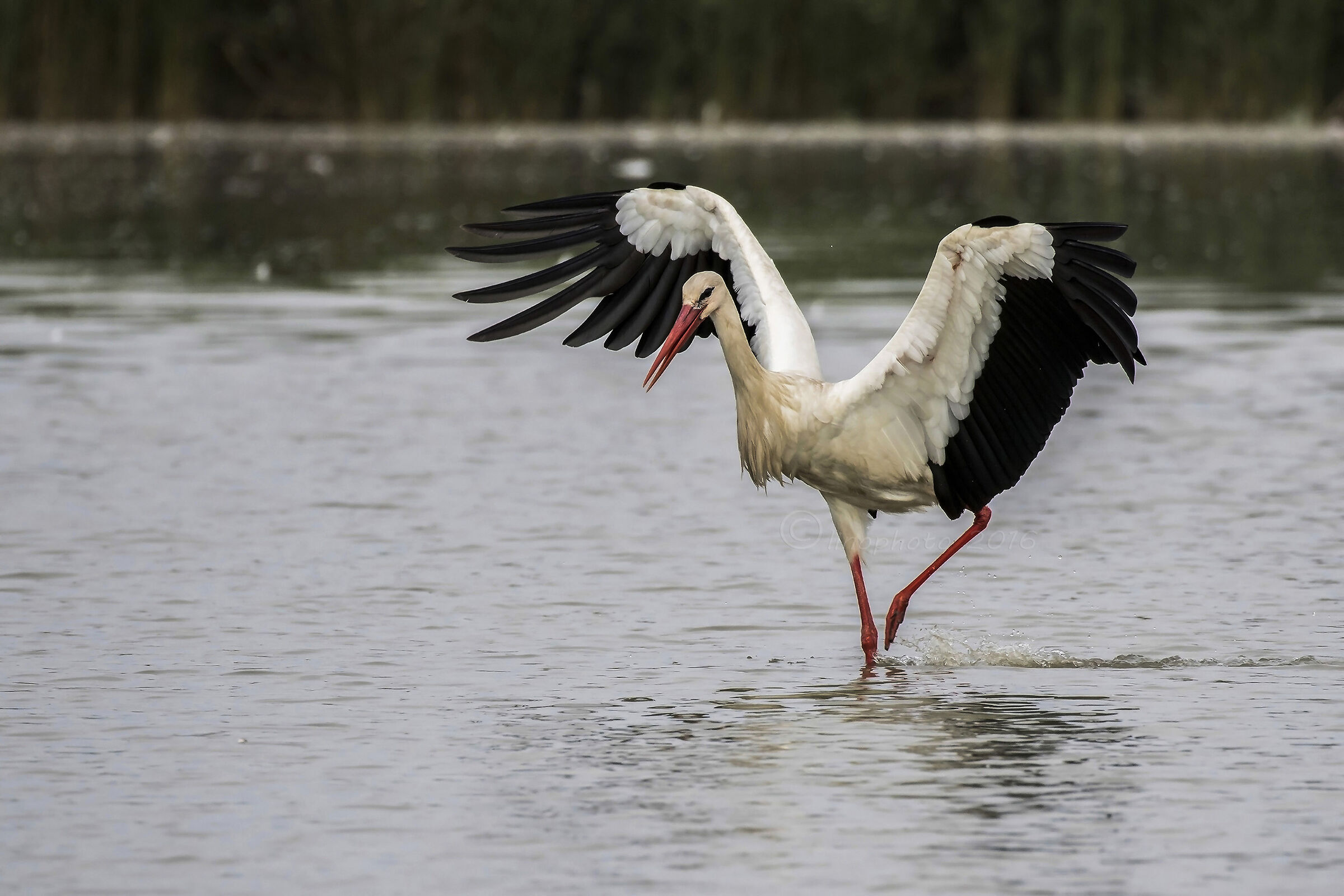 Appena atterrata......