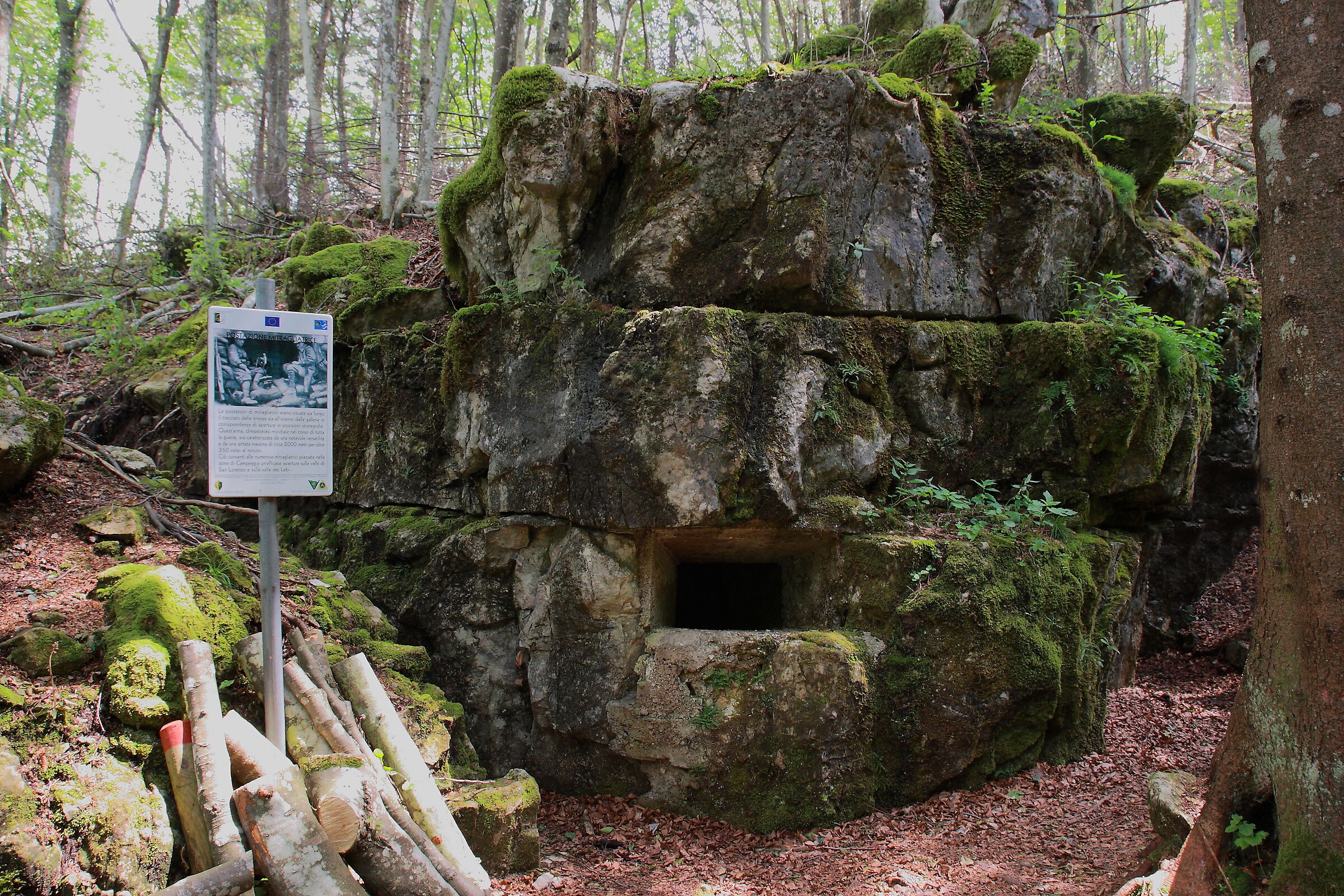 I nidi di mitragliatrice