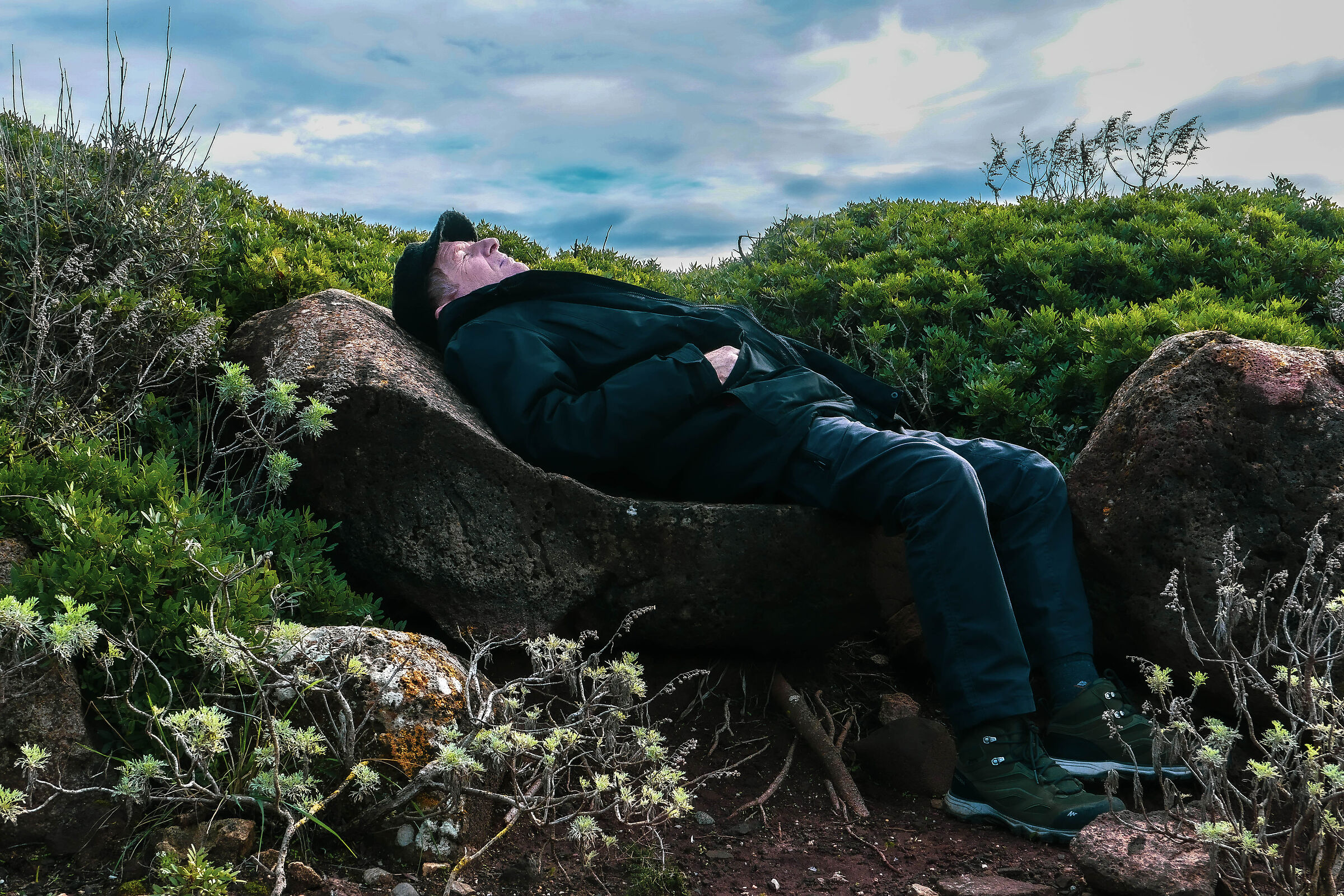 Salvo sleeps on a rock