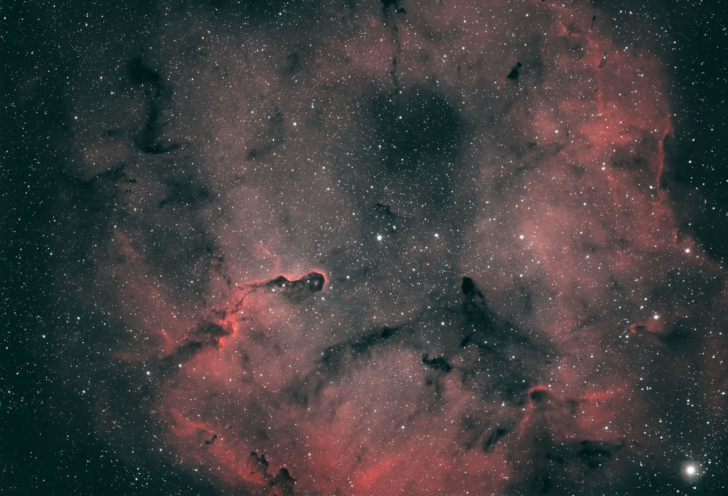Elephant Proboscis Nebula