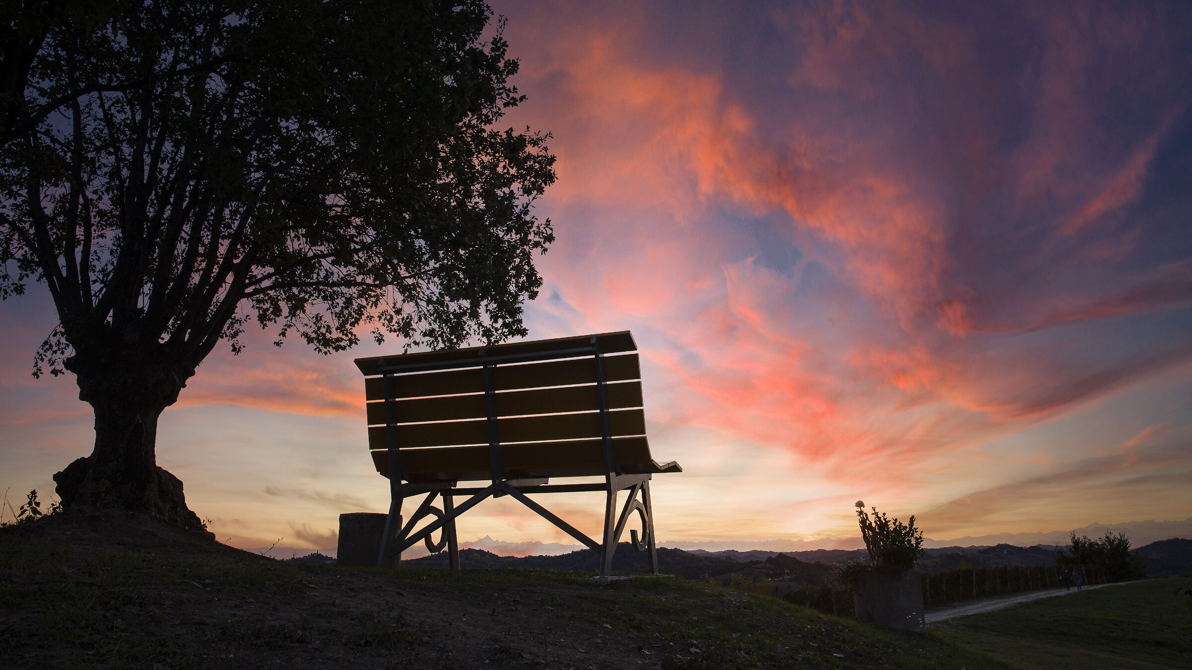 big bench in the big sunset