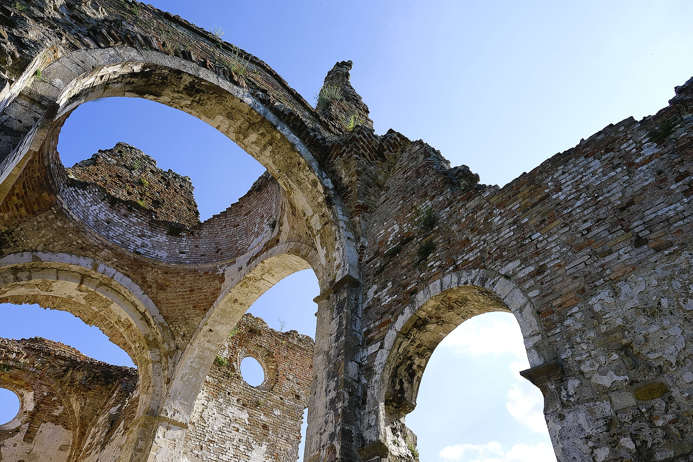 altro che Galateo...