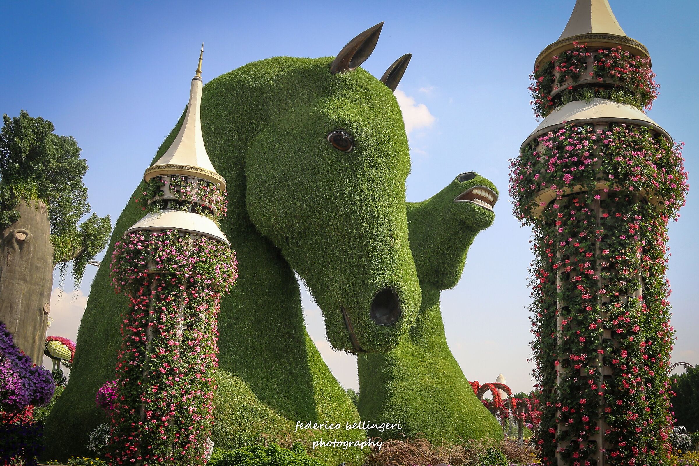 miracle garden Dubai