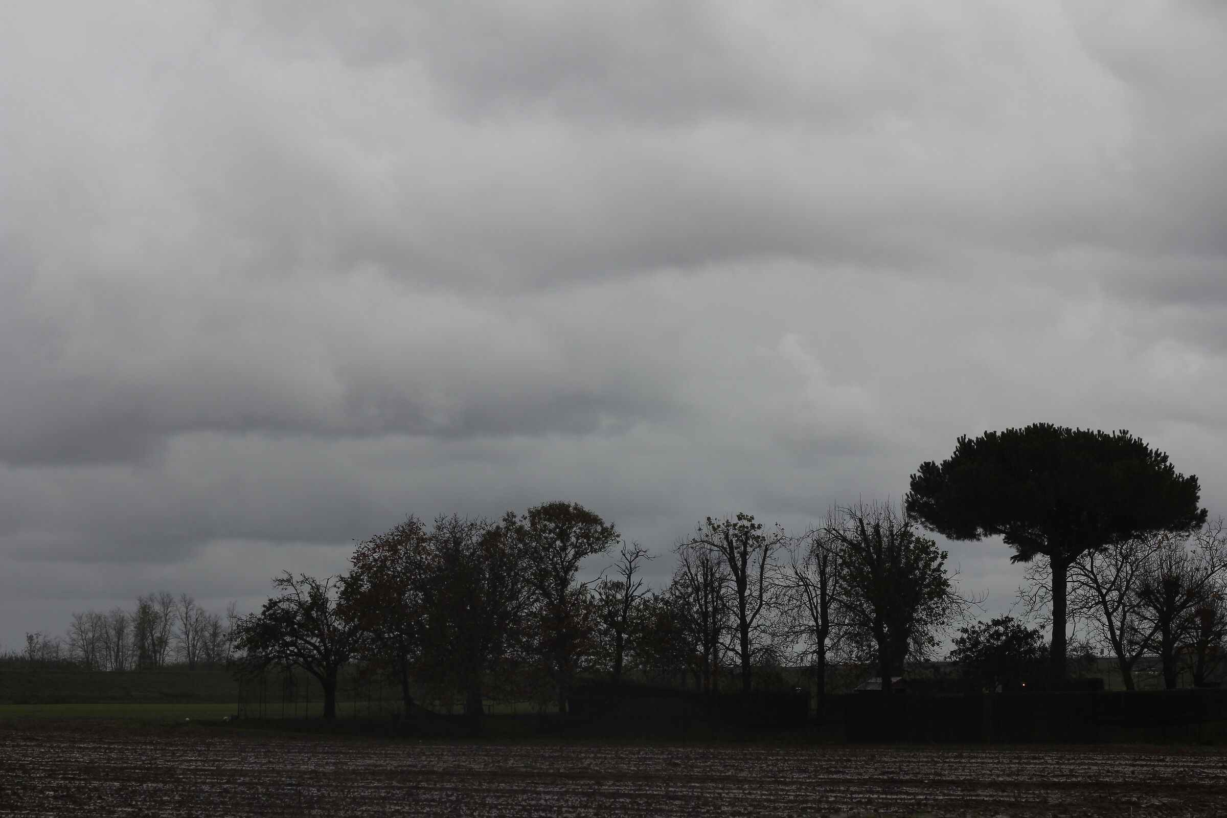 Dicembre verso Nodica (pi)