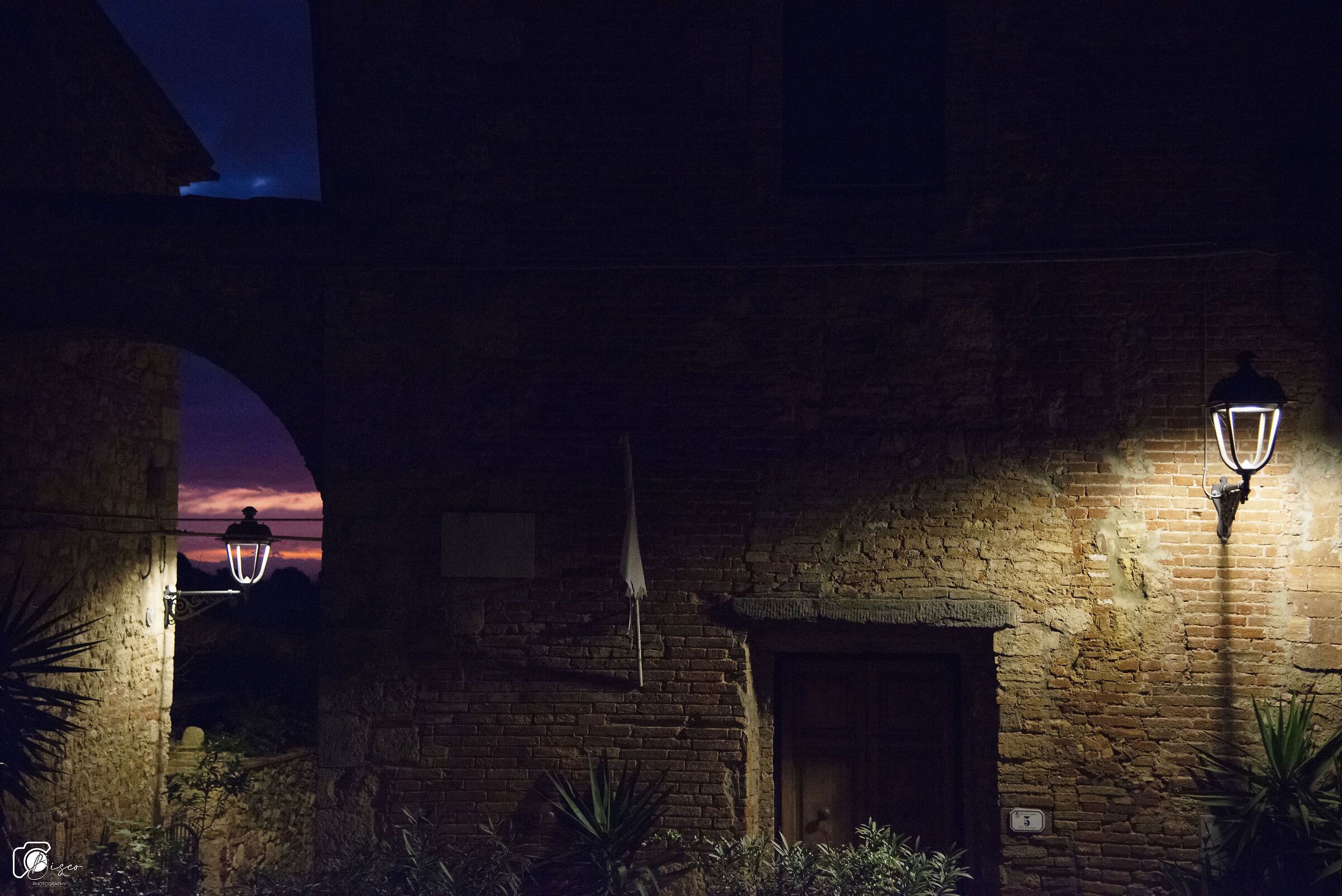 Details Bibbona (LI) Christmas 2018