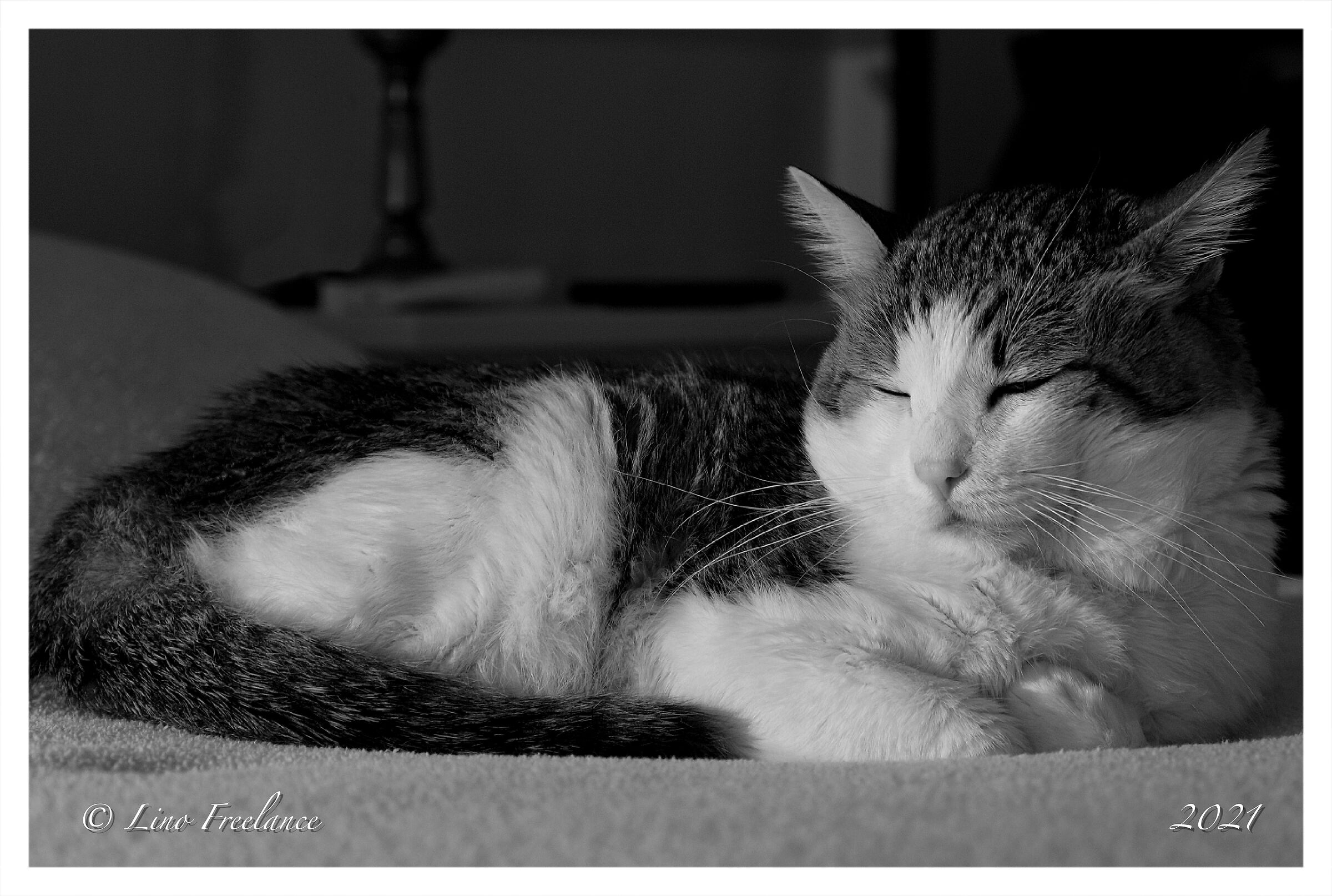 " Sonno e Freddo...che accoppiata oggi..."