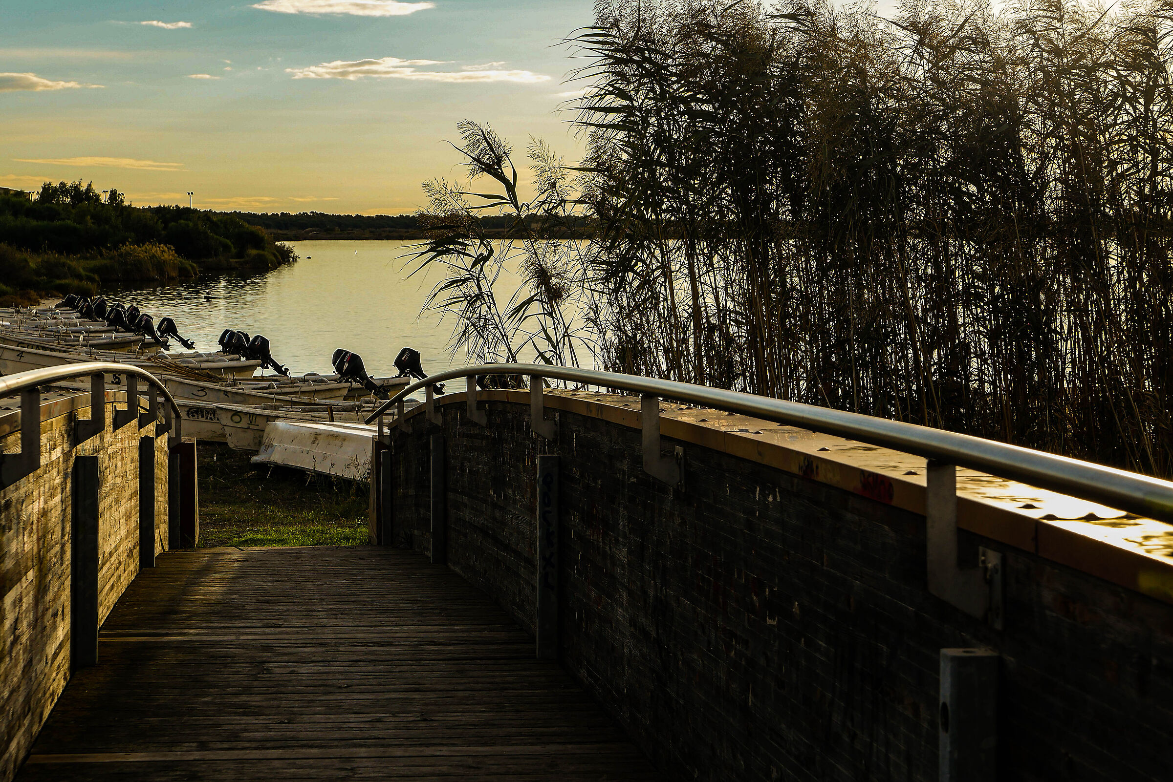 Barche di pescatori. Stagno di Cabras