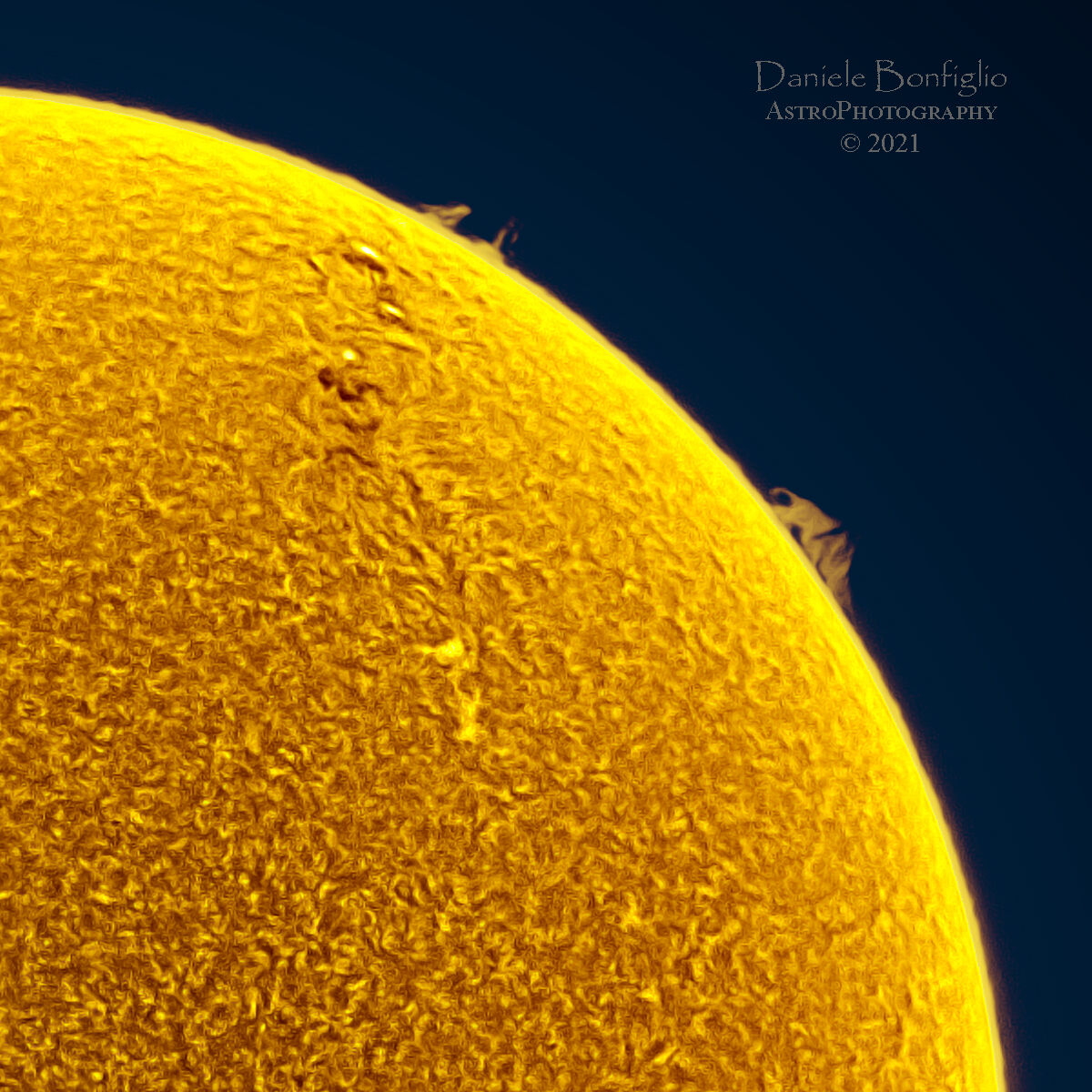 Sun in H-alpha of 01/12/2021 (detail)