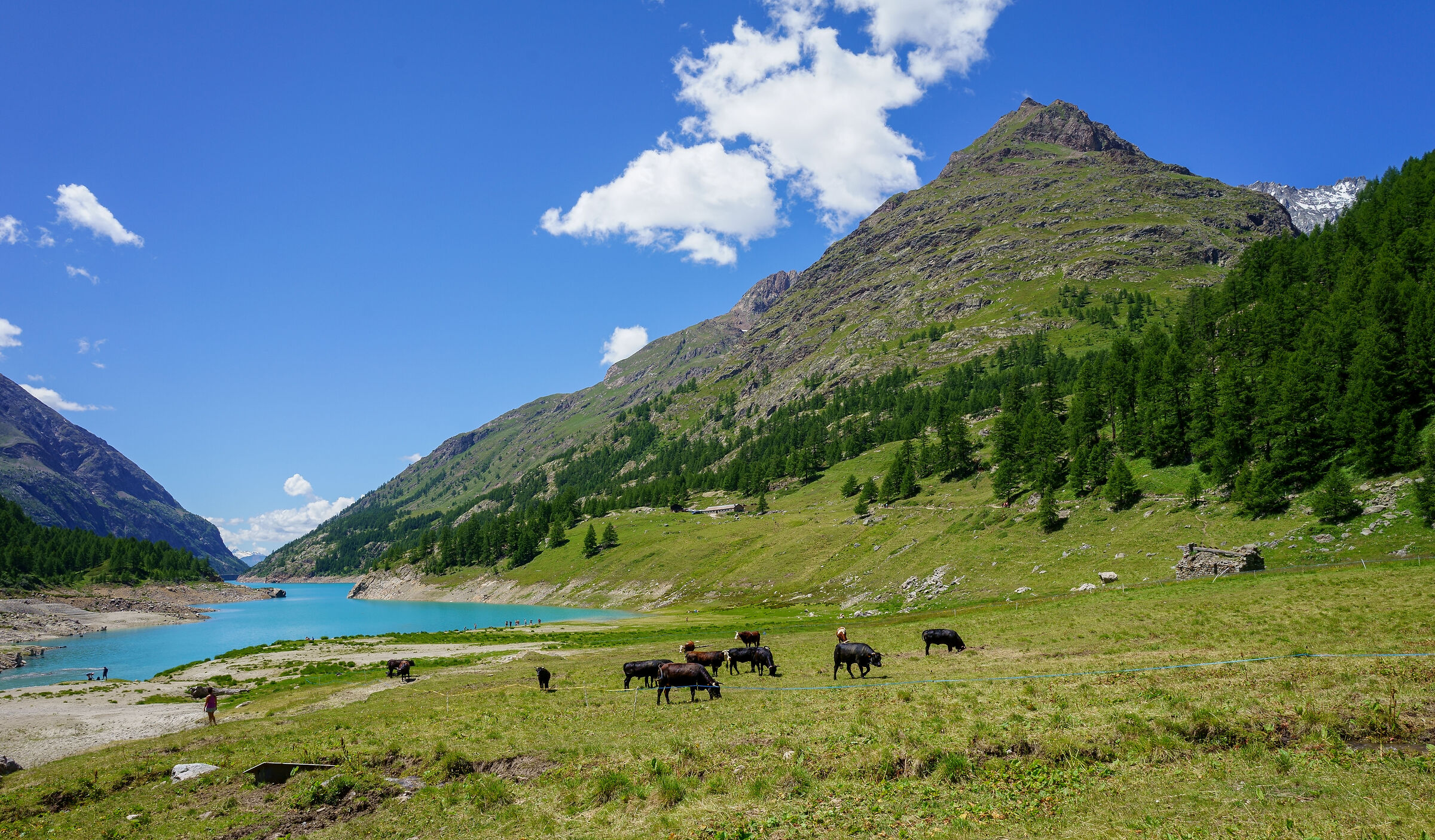 Le montagne di Bionaz