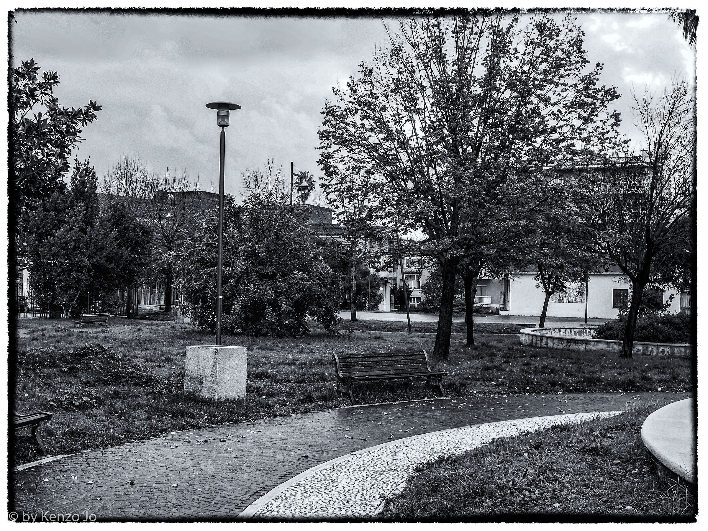 dicembre piovoso