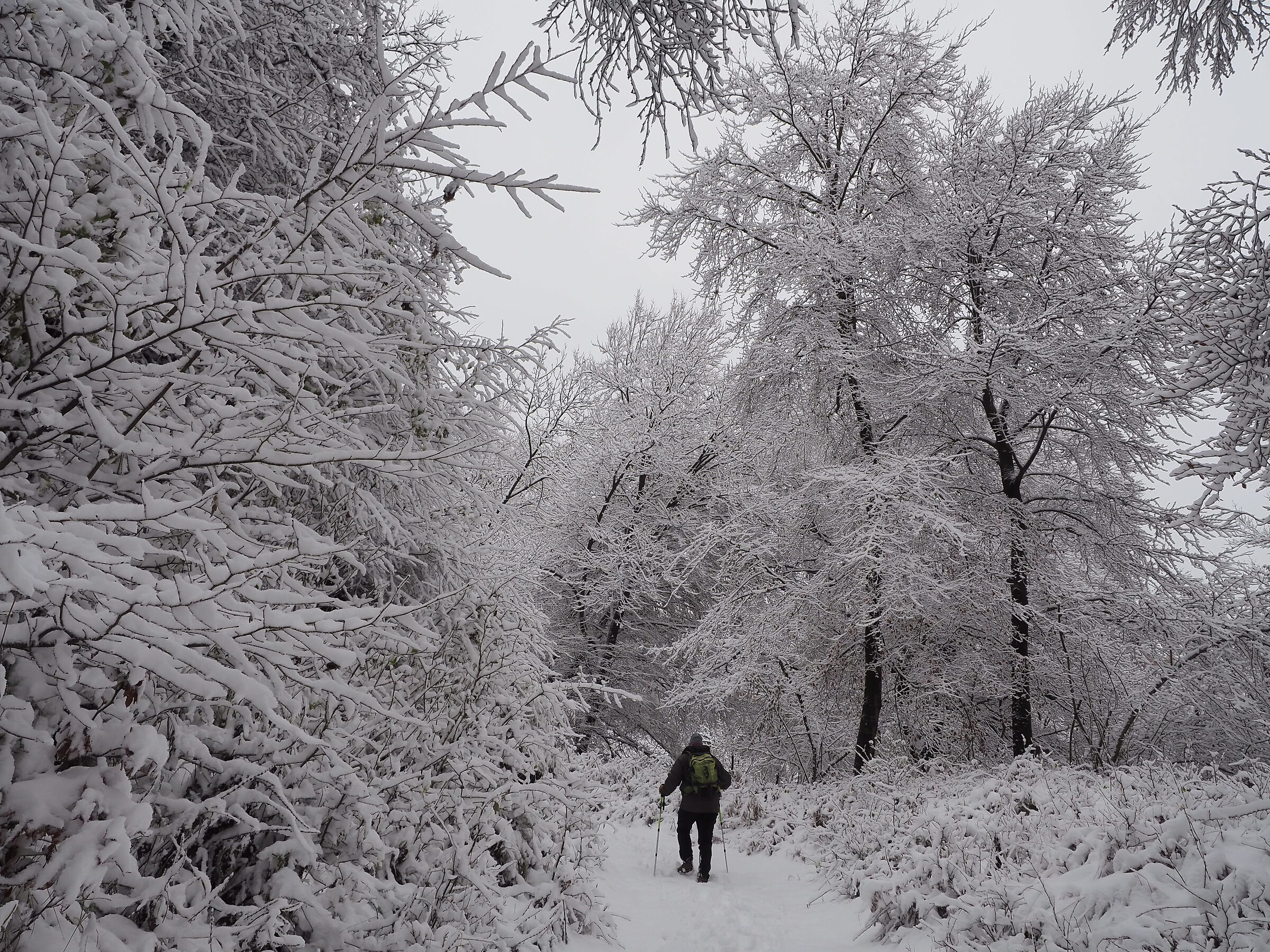 passeggiata con la prima nevicata