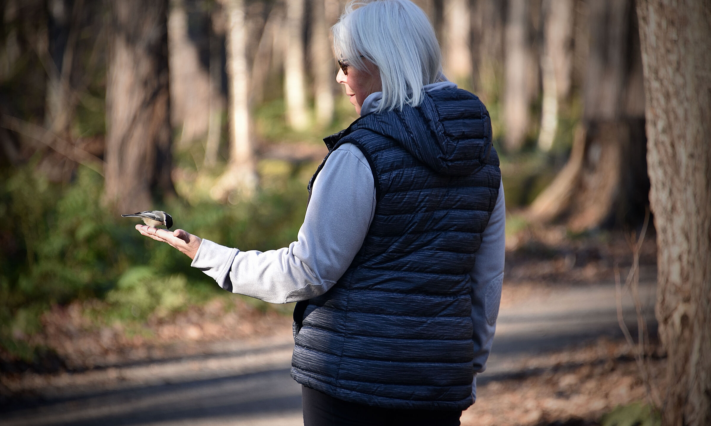 I love nature and its atmosphere