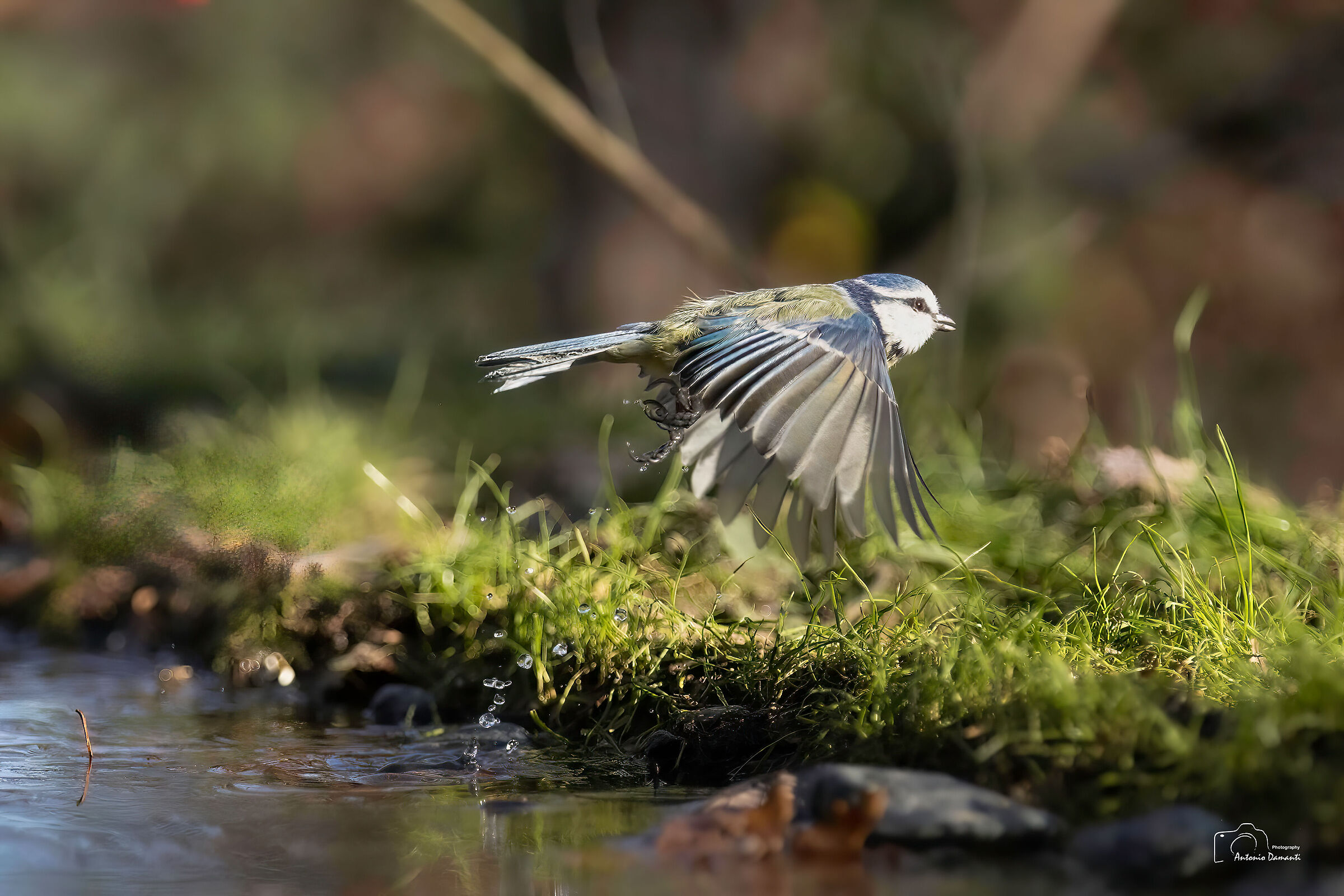 in flight