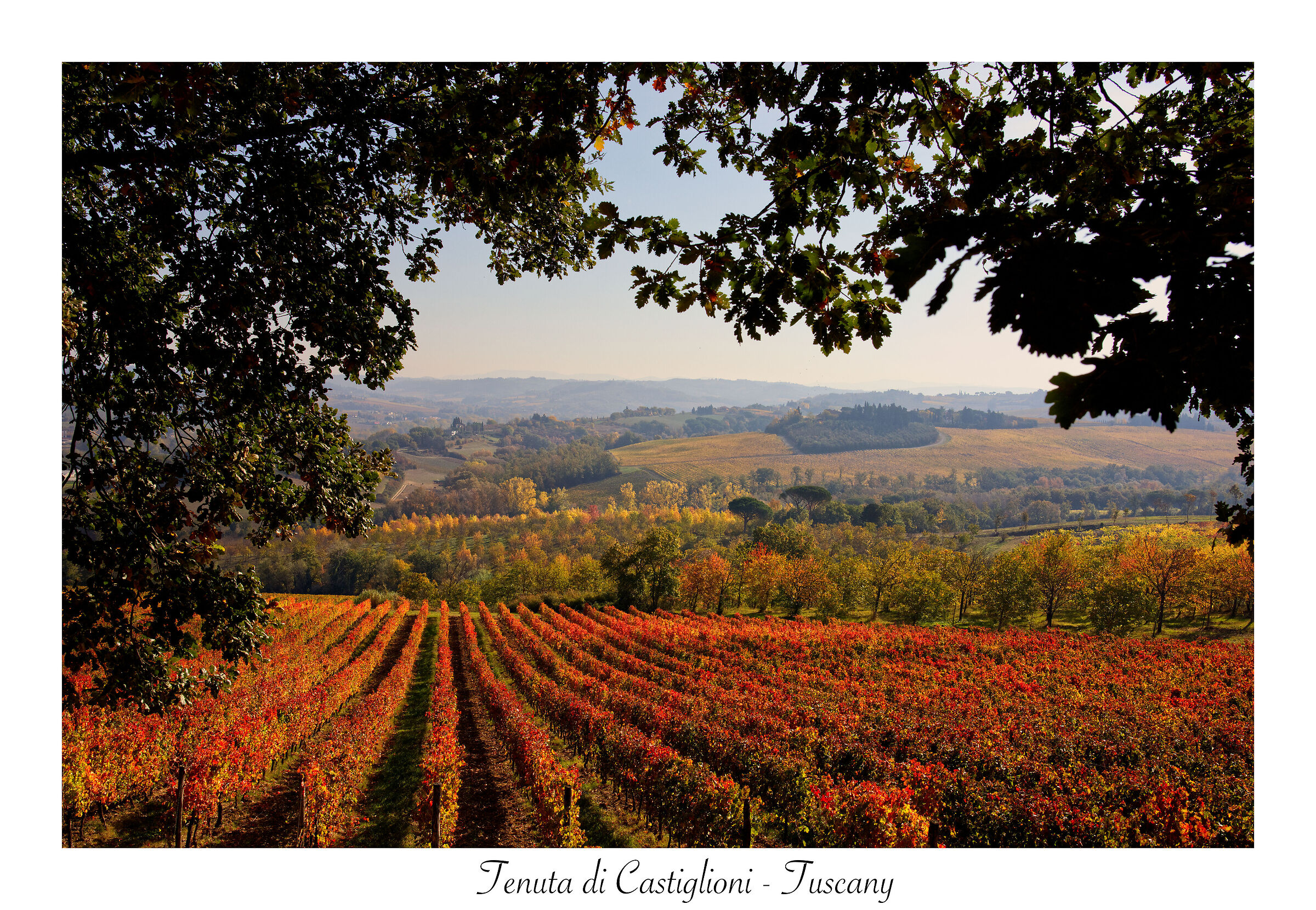 Toscana senza fine...