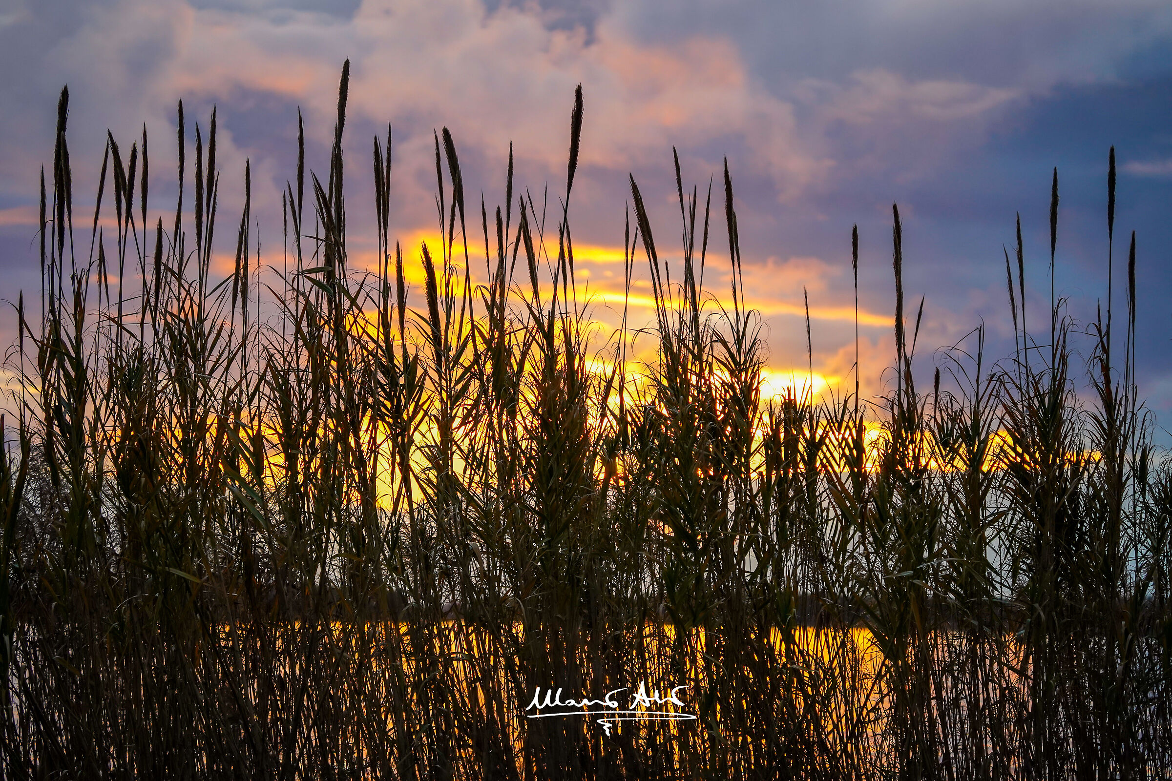 Tramonto