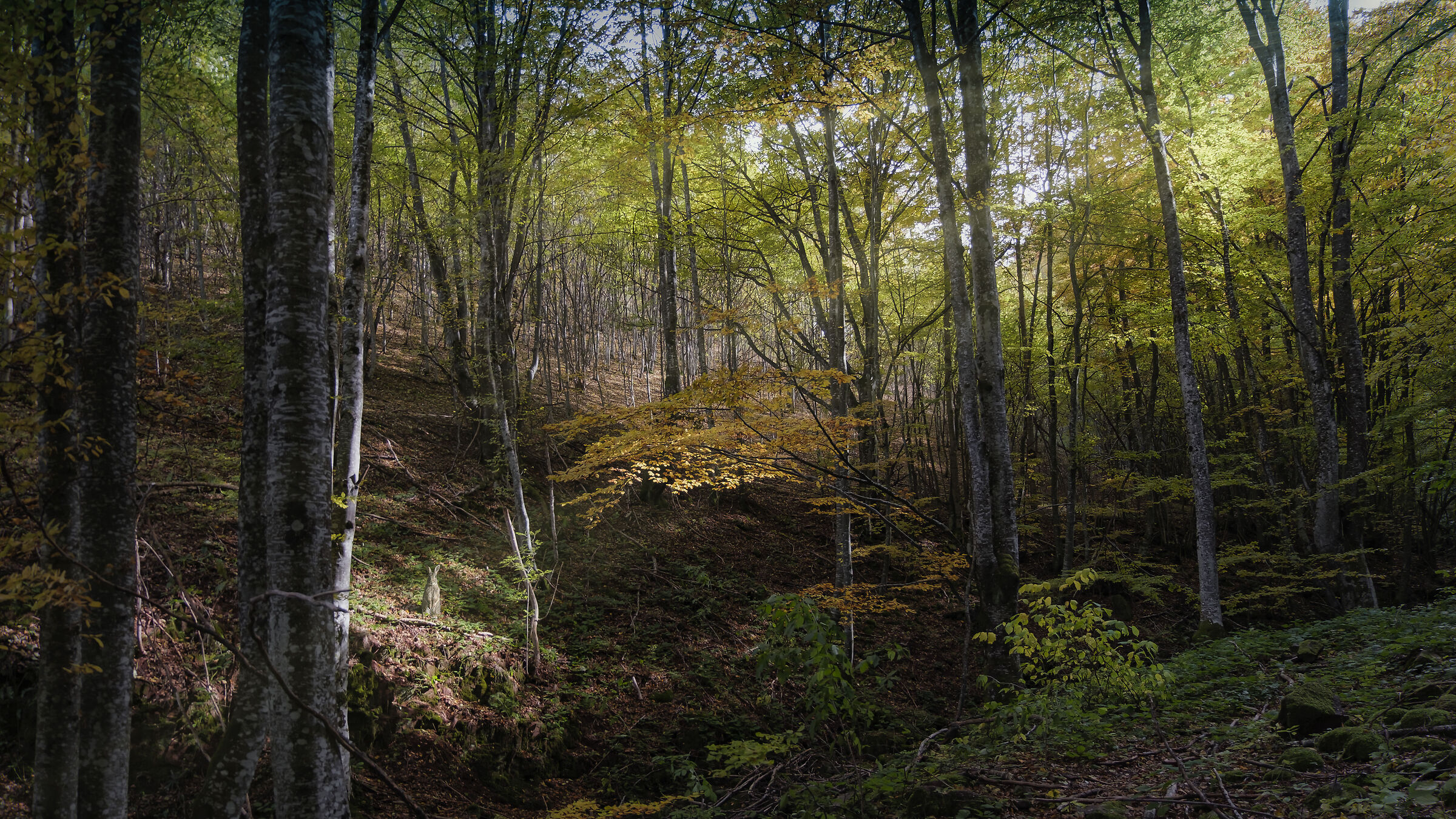 sotto i raggi del sole