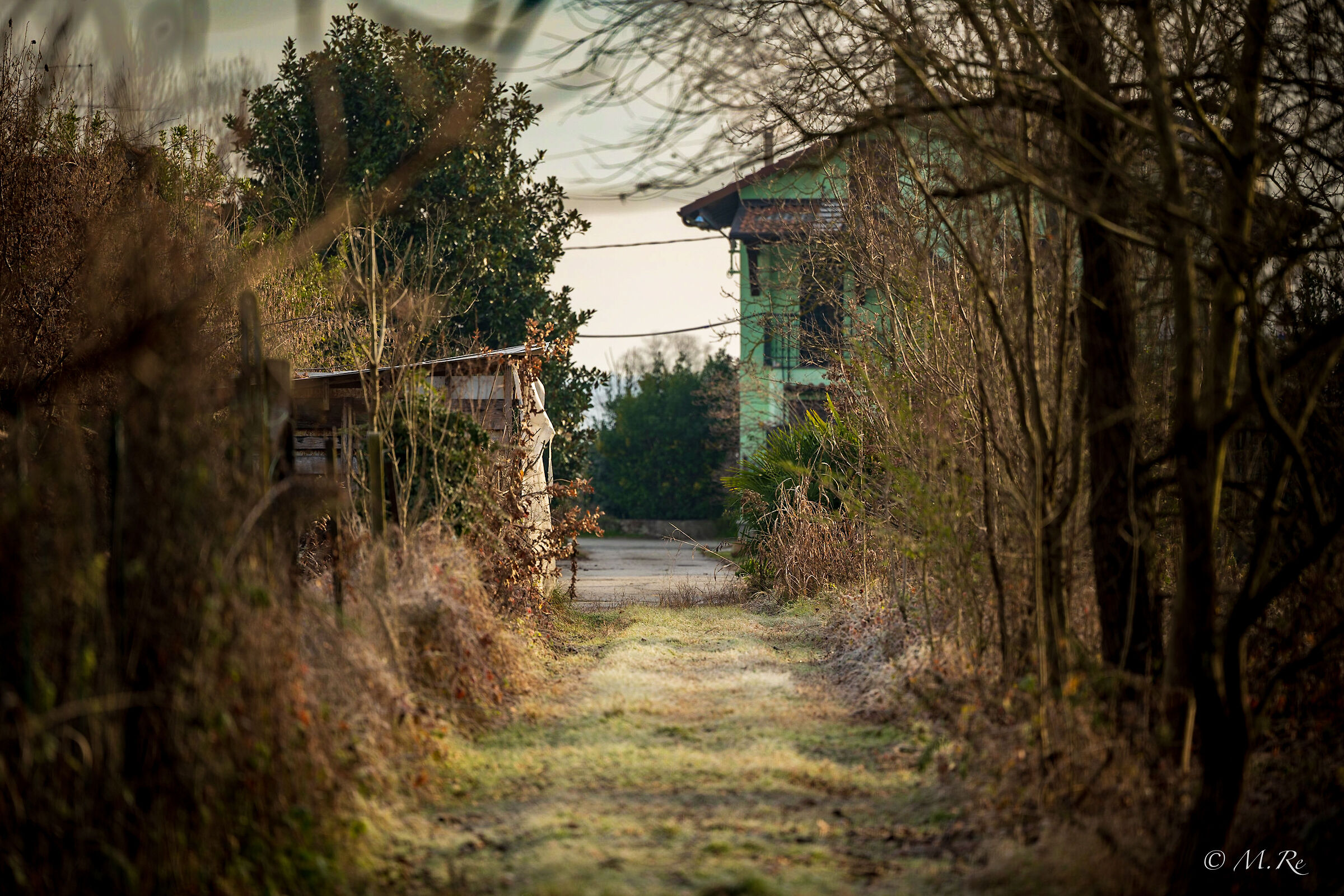 Towards the green house
