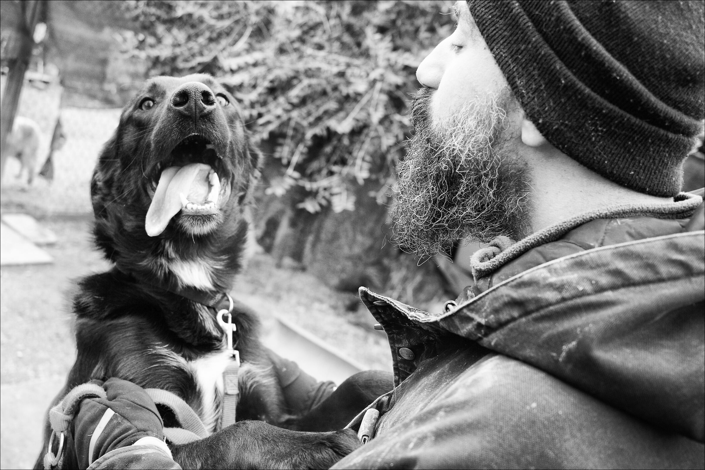 lovers... per noi loro sono importanti