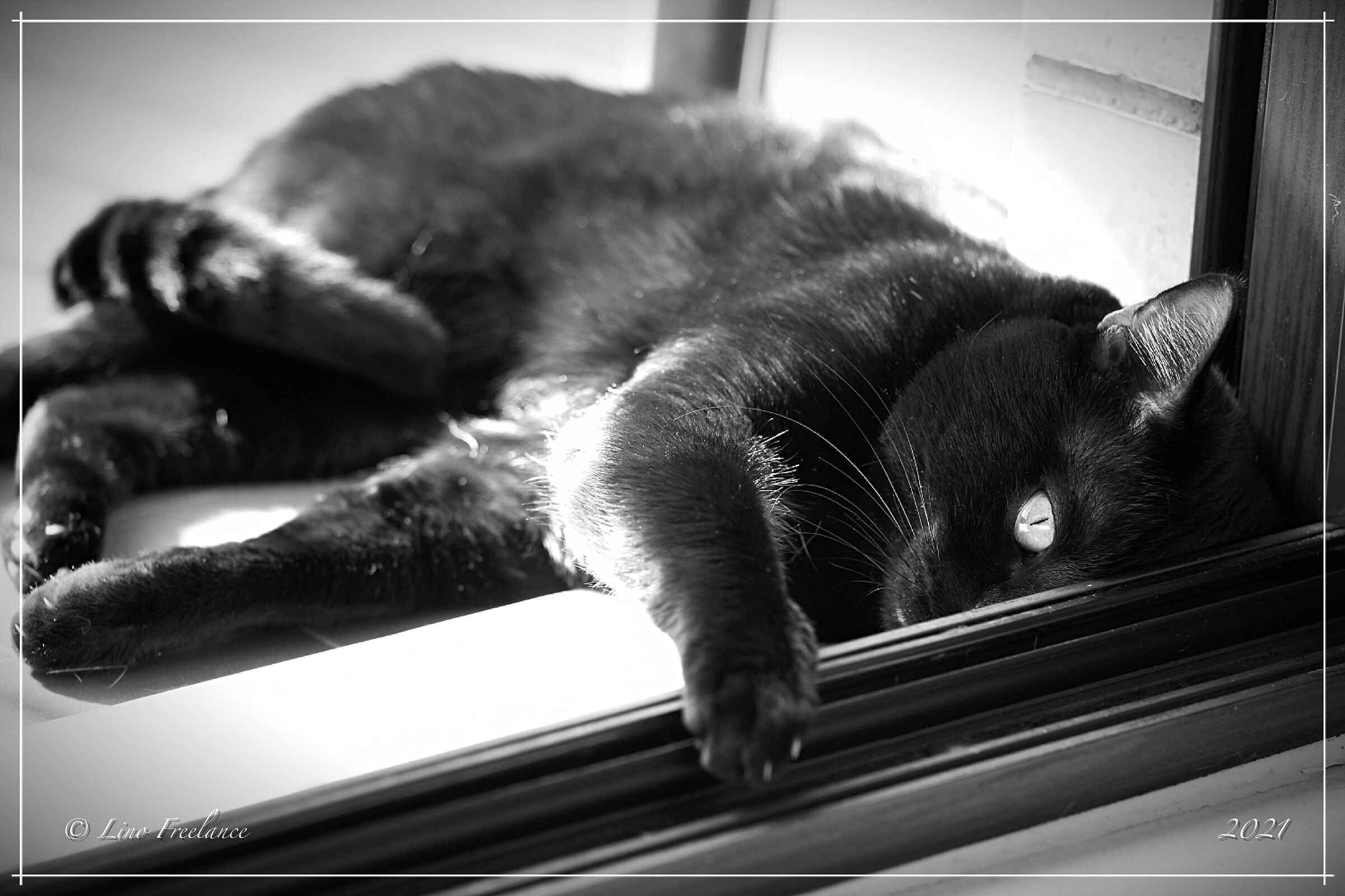 Uno spicchio di sole invernale.