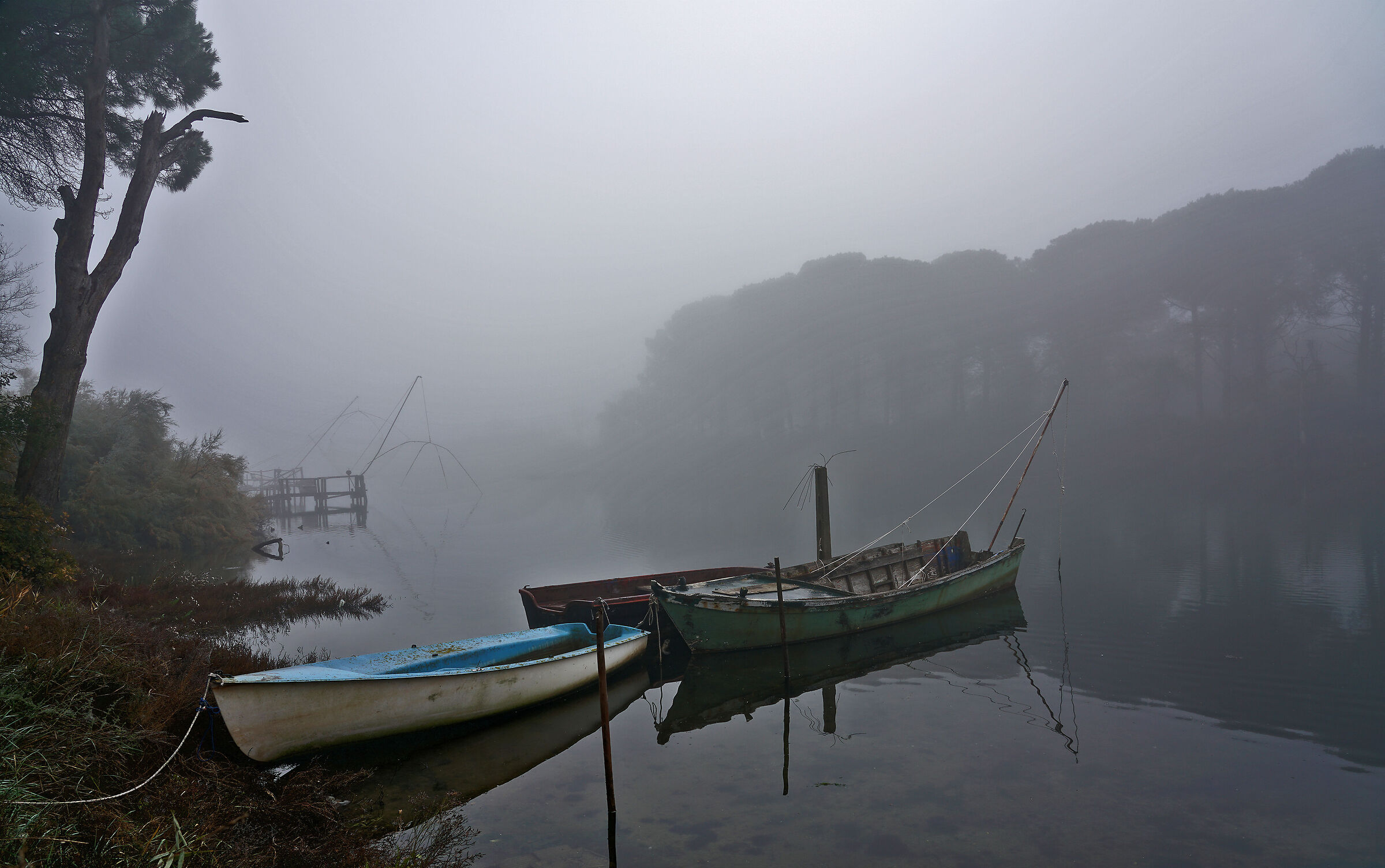La nebbia e il silenzio