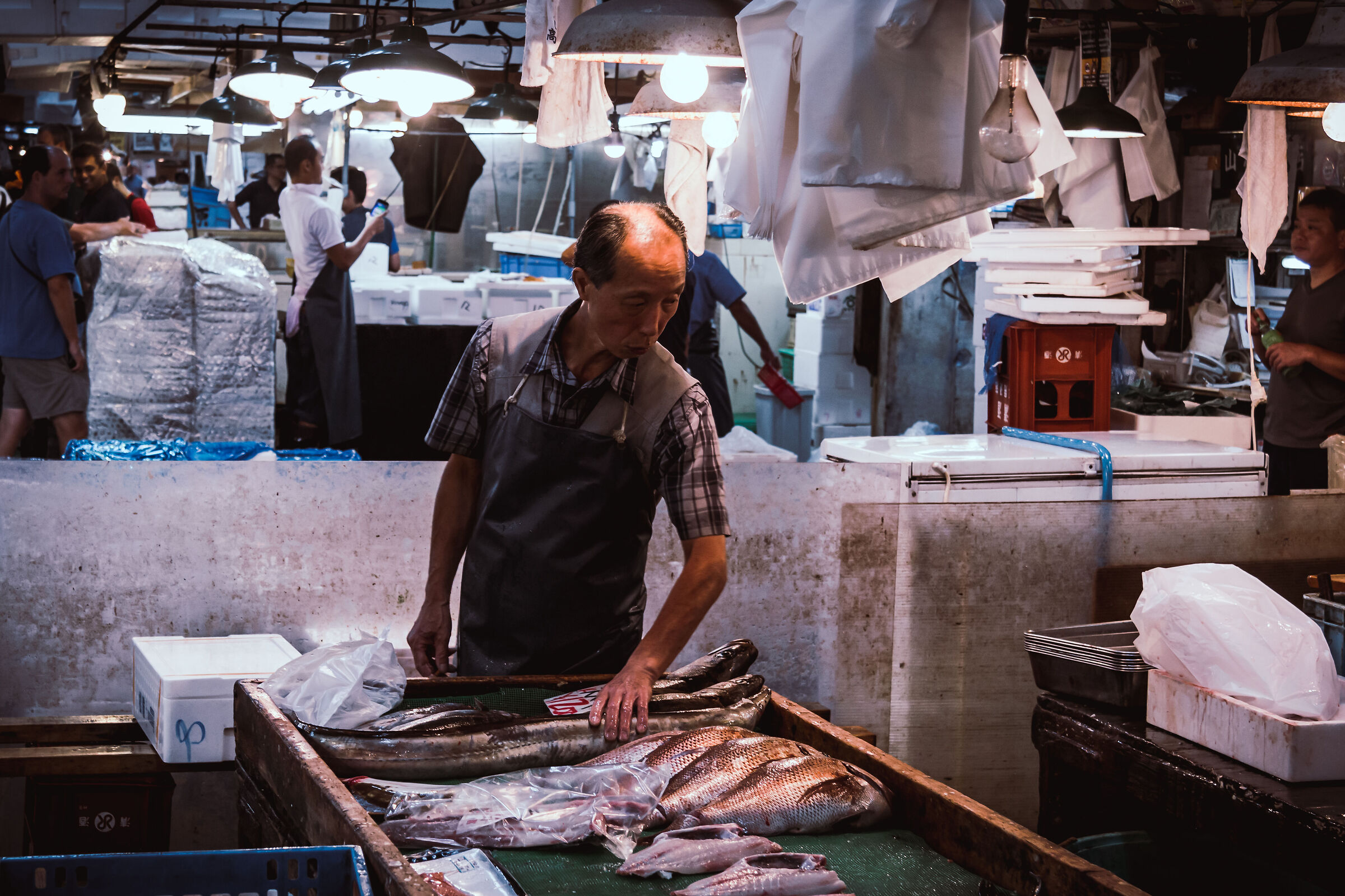 Fish Market Tsukiji