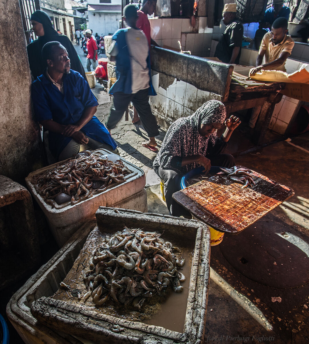 At the fish market in Stone Town (Zanzibar) - Shrimp