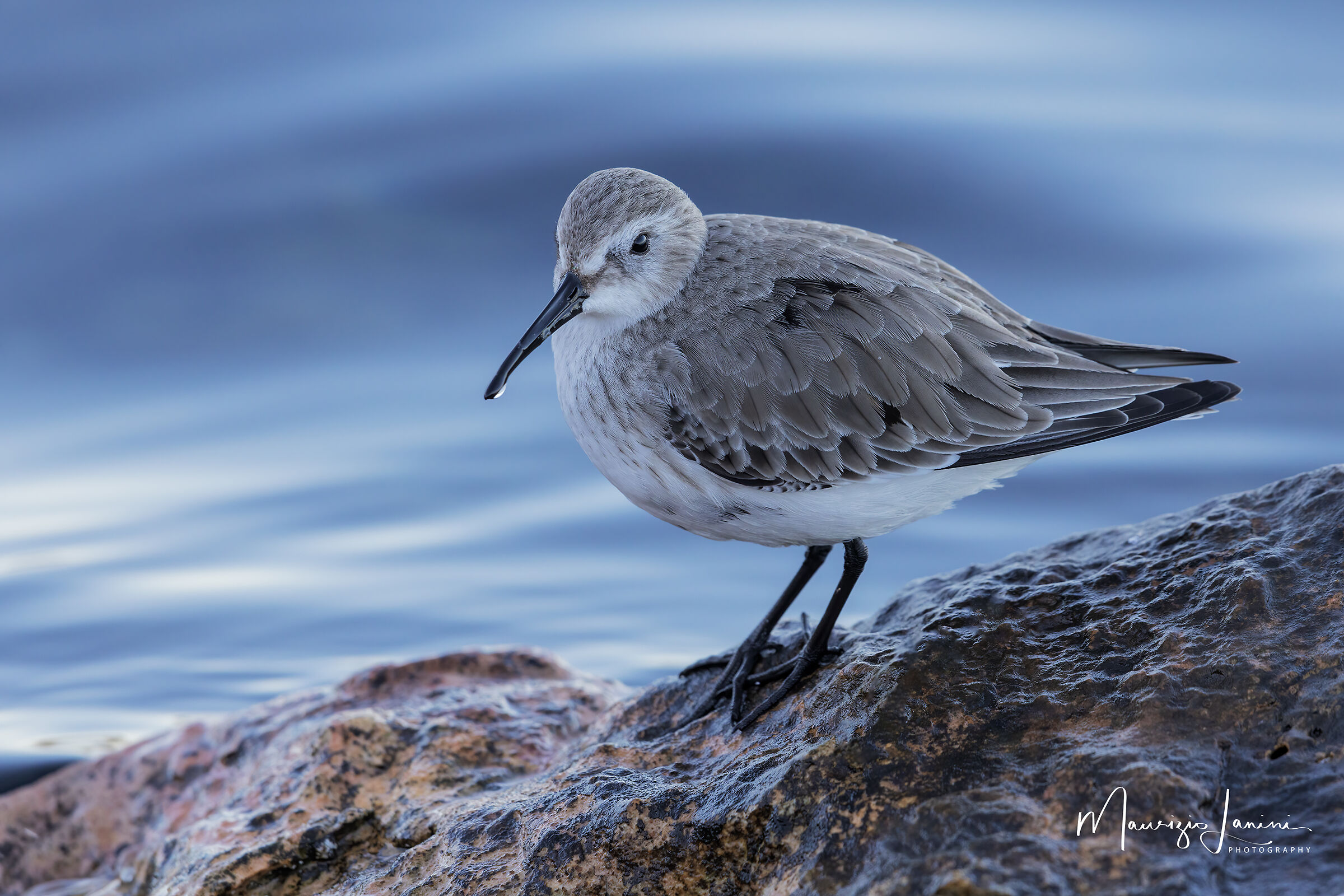 Prima che il sole arrivi