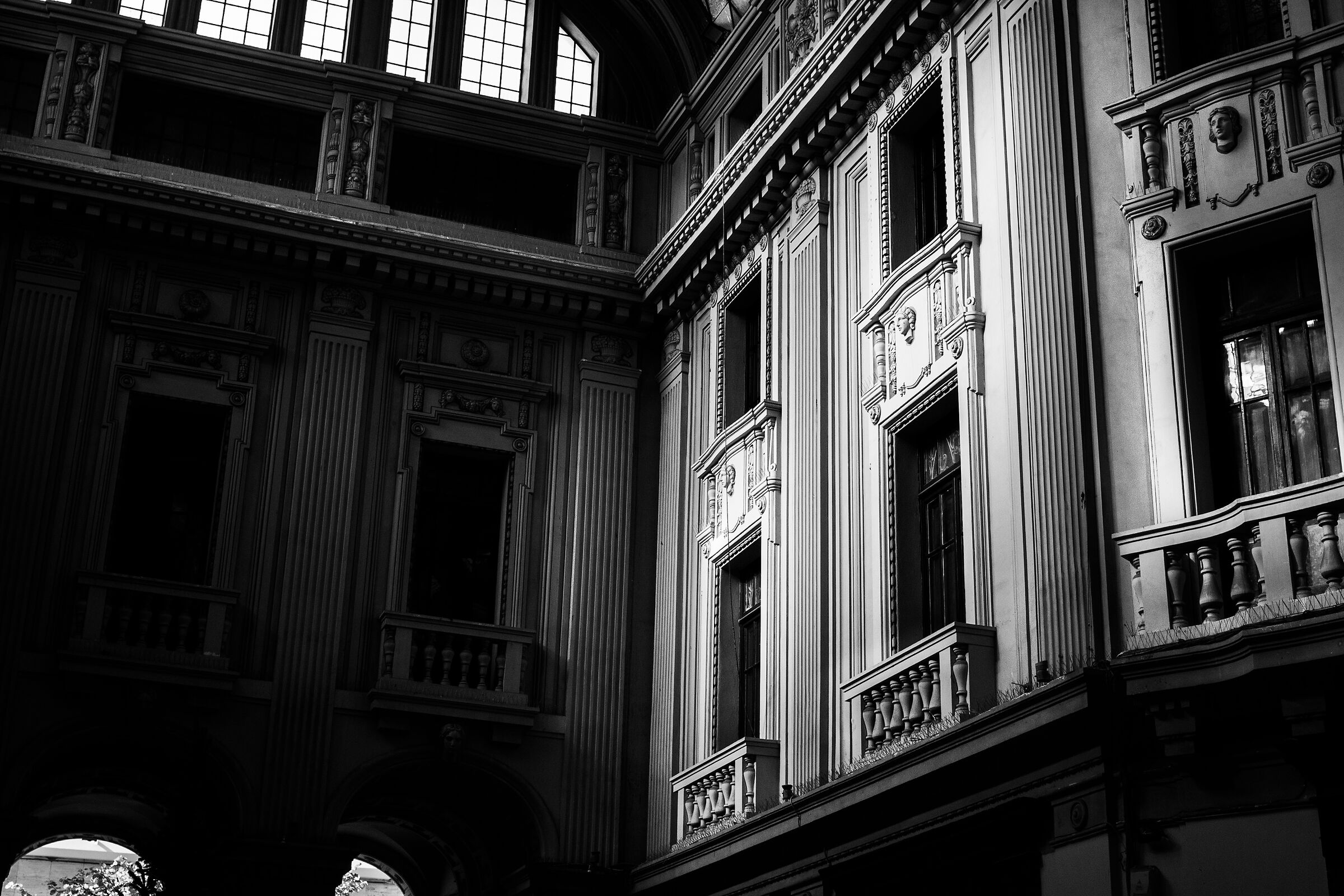 Untitled Photo