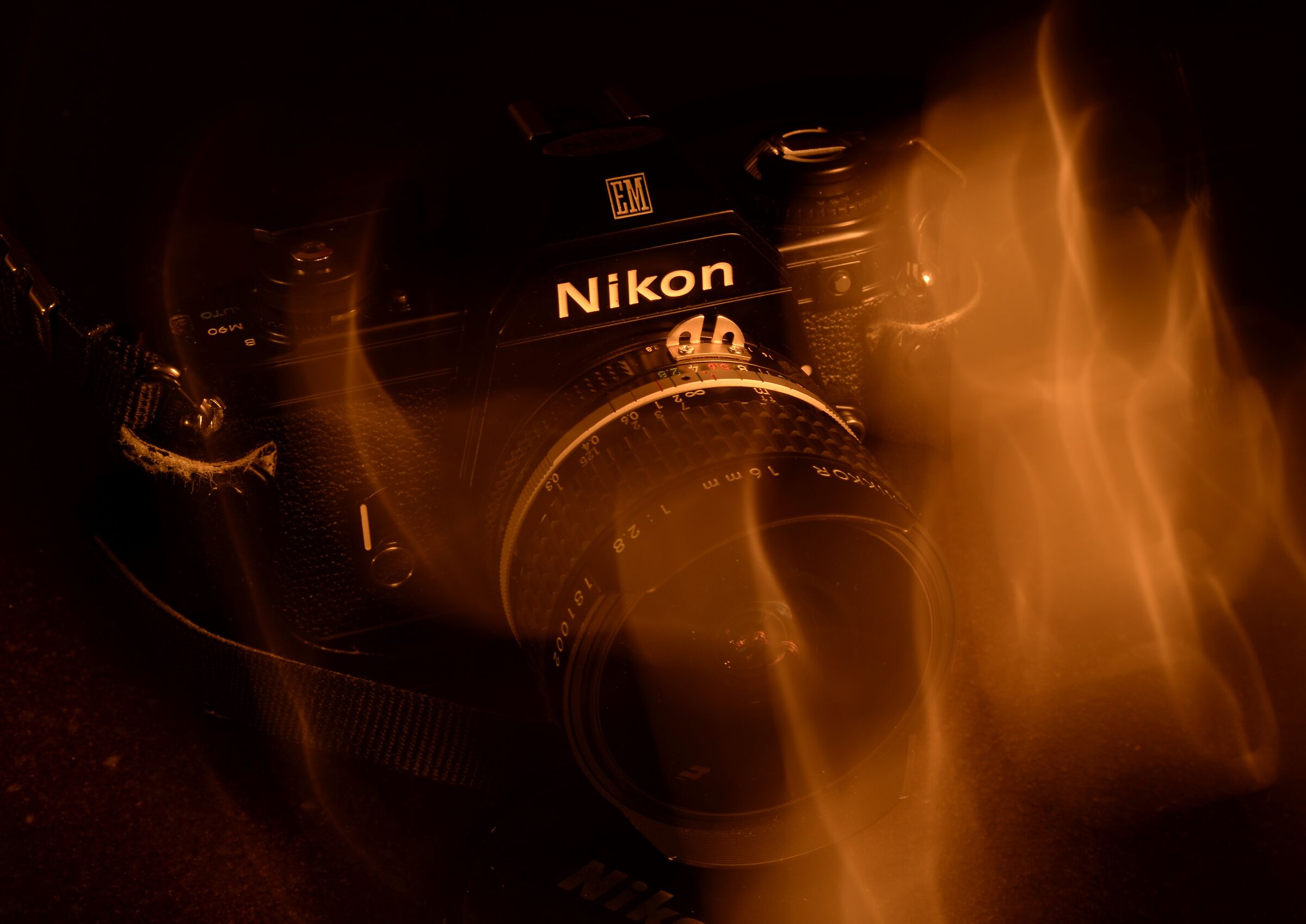 Nikon EM