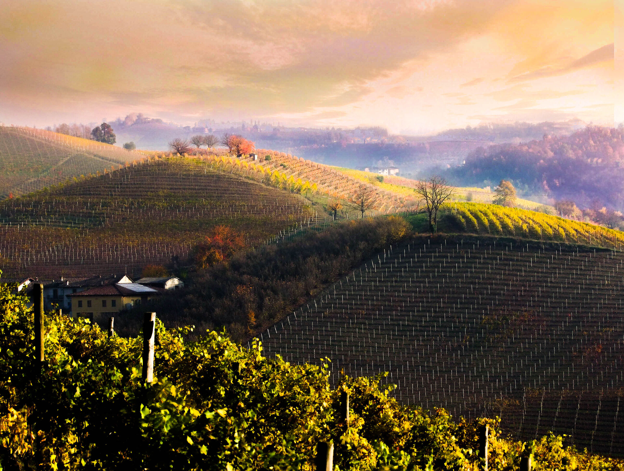 sul cucuzzolo  dell collina