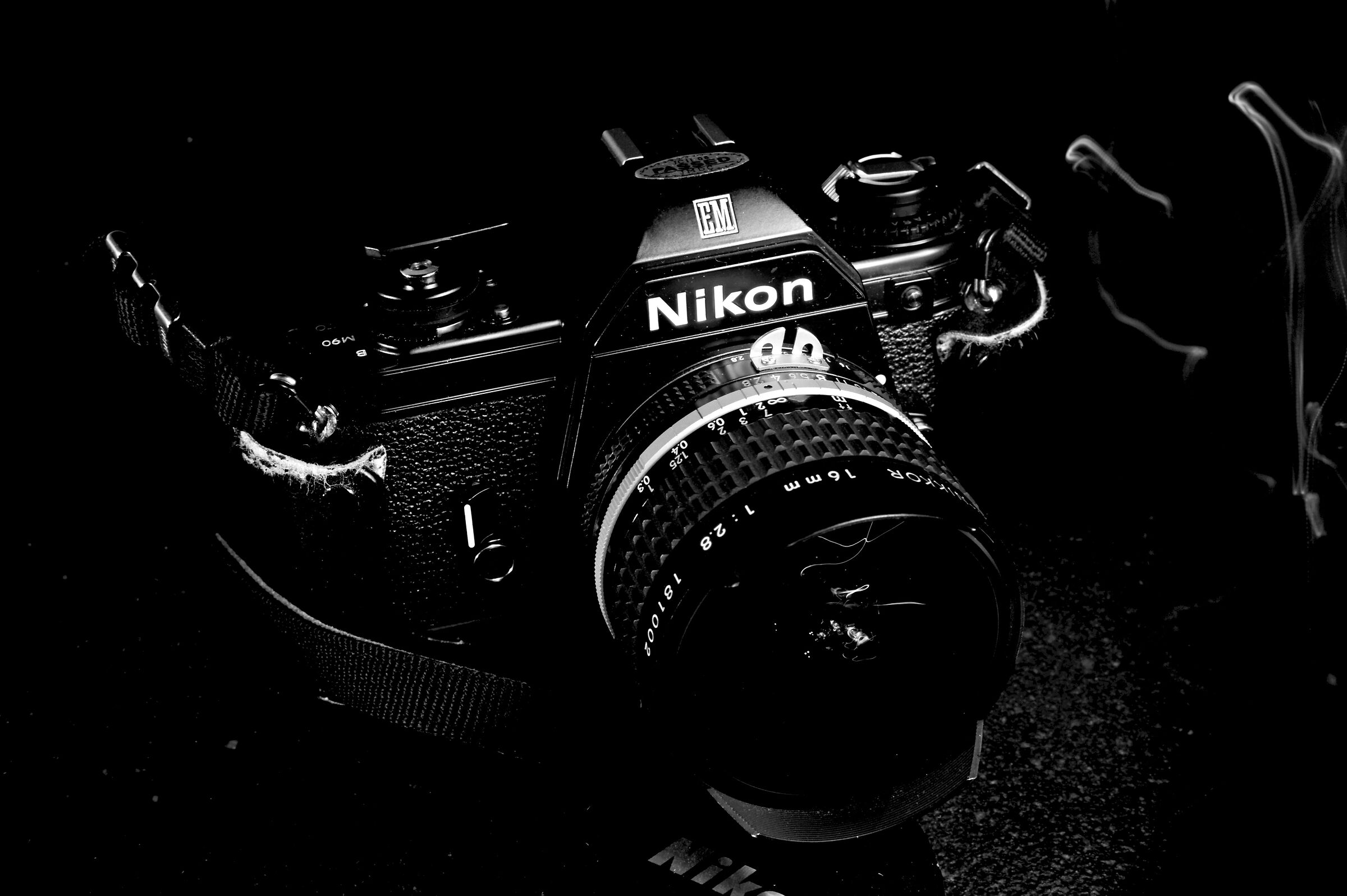Nikon EM