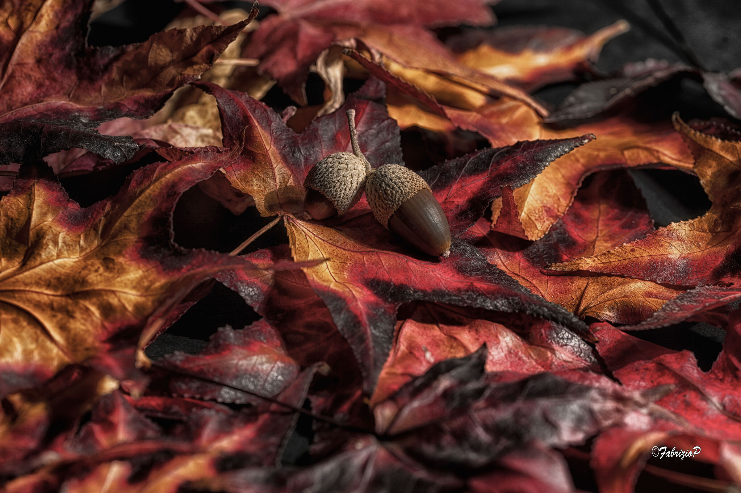 Colori e frutti autunnali