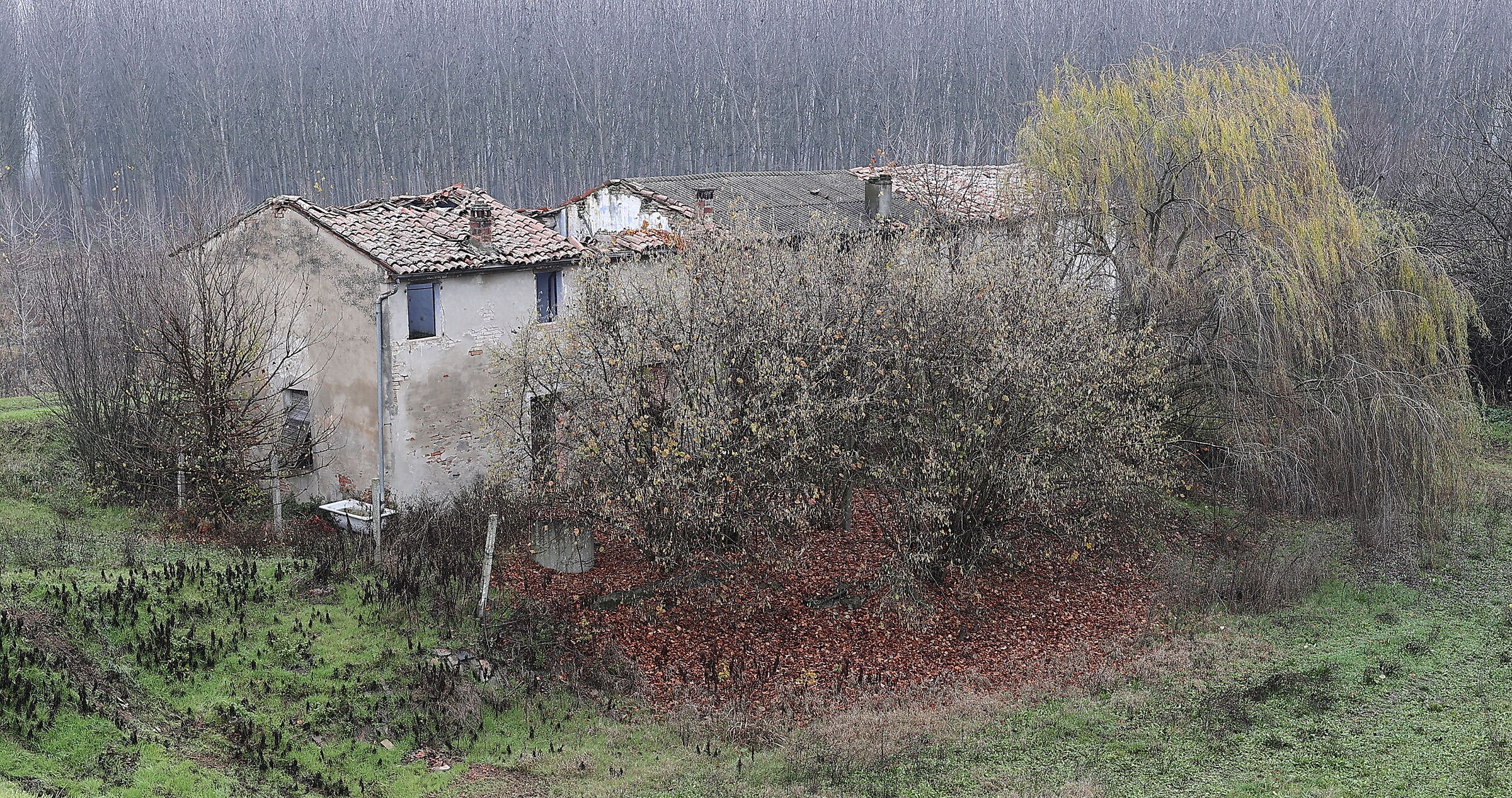 Golena del Po - 02/12/2021