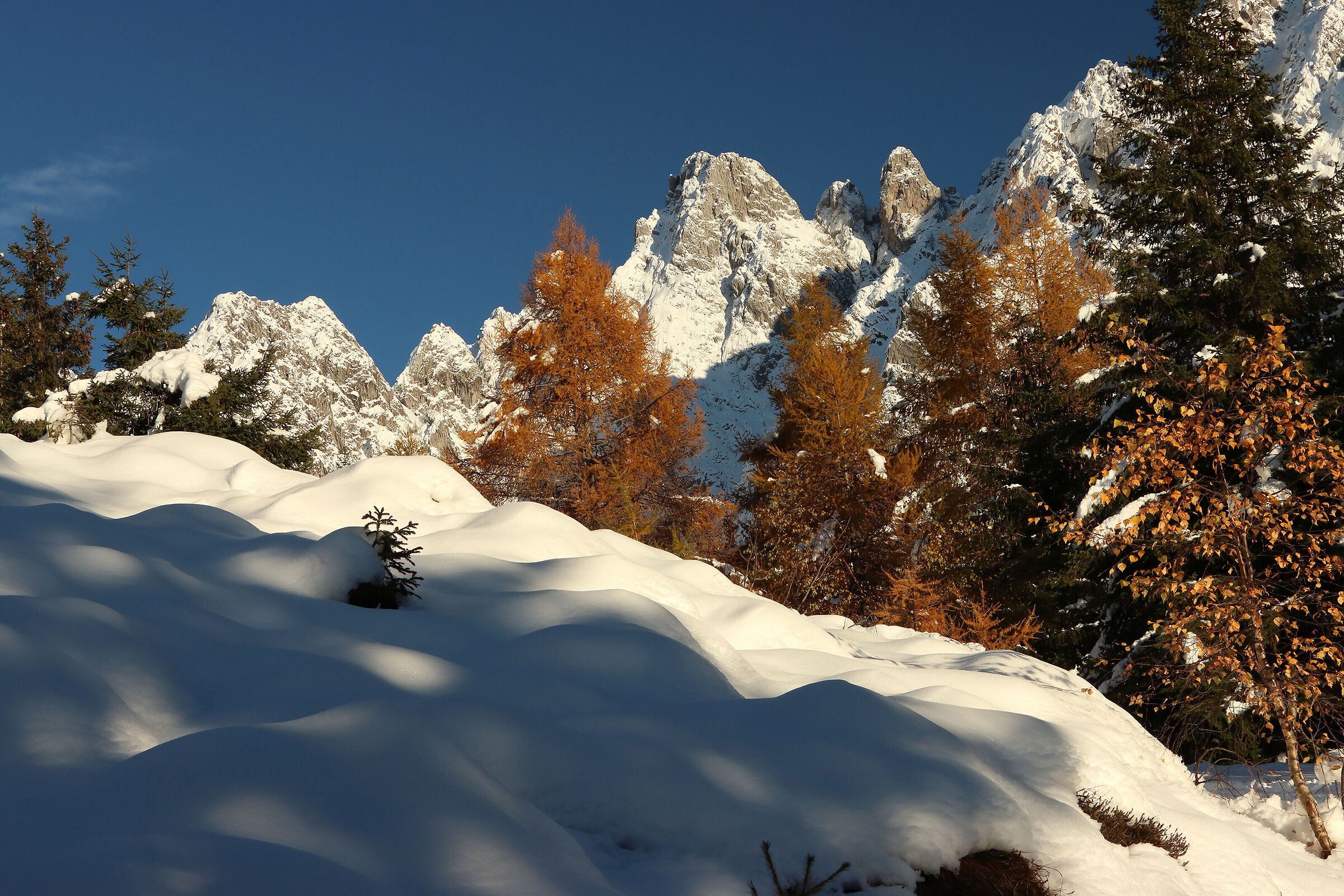 neve candida ai Campelli
