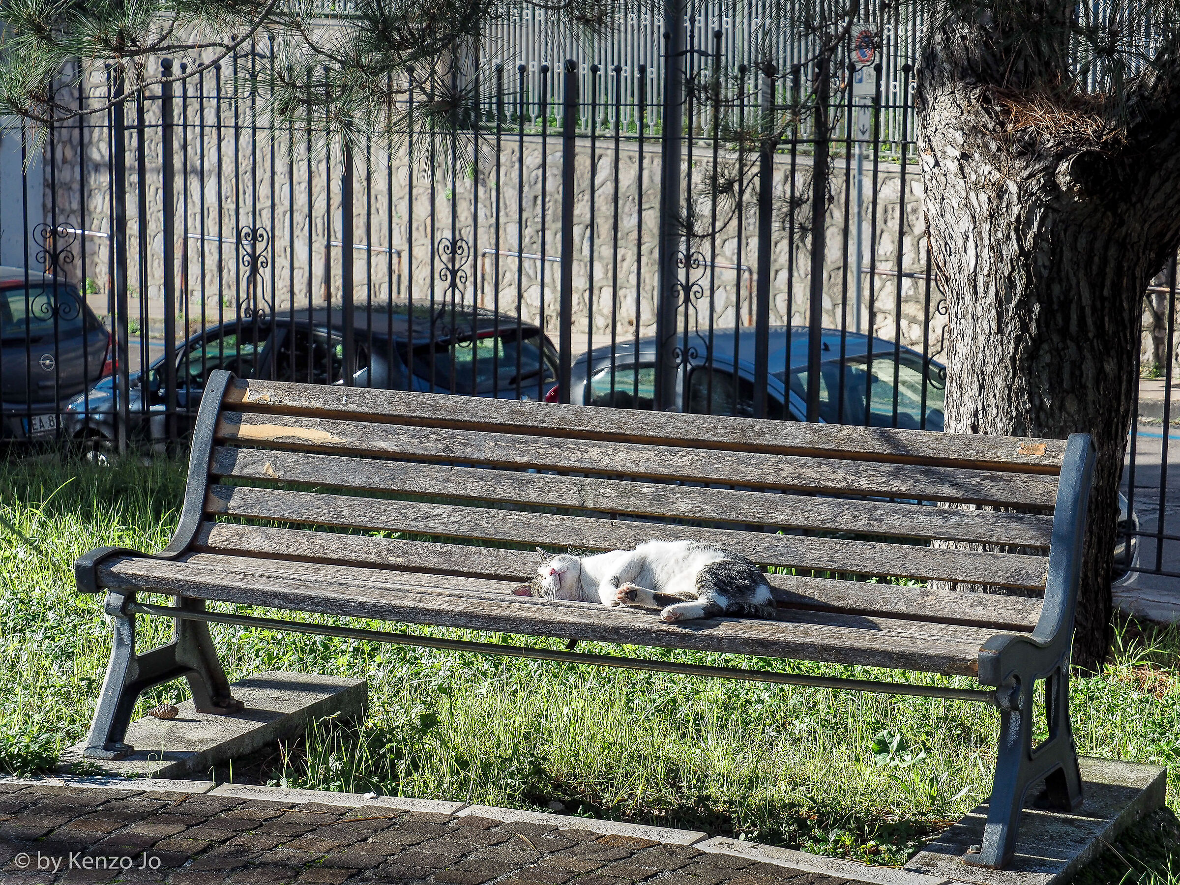 Panchina assolata di dicembre