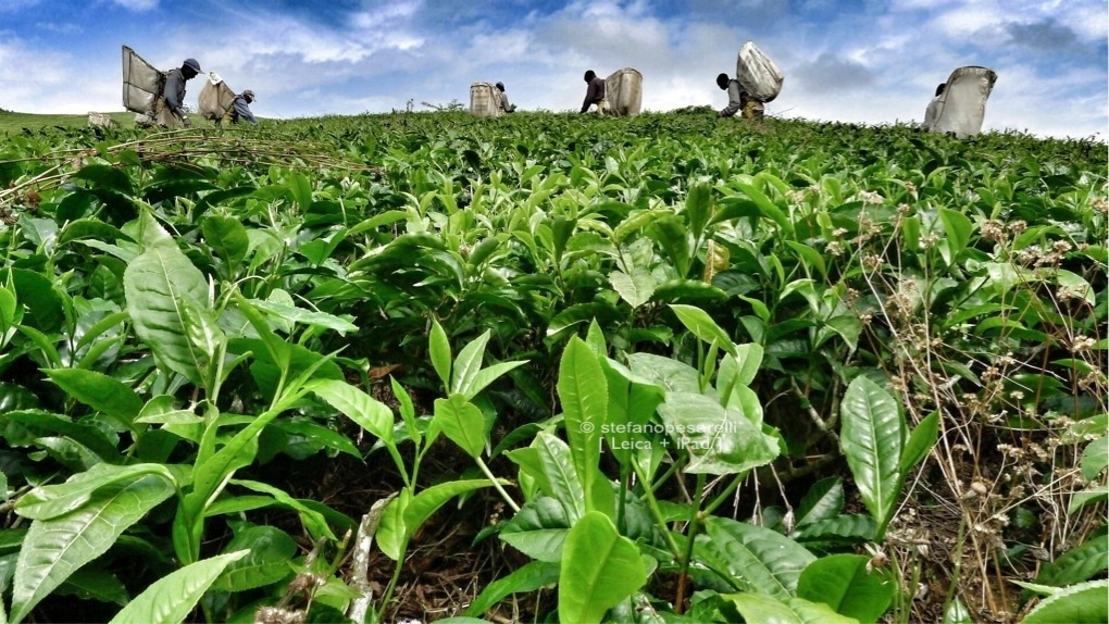 Africa, n viaggio con una Leica e un iPad.