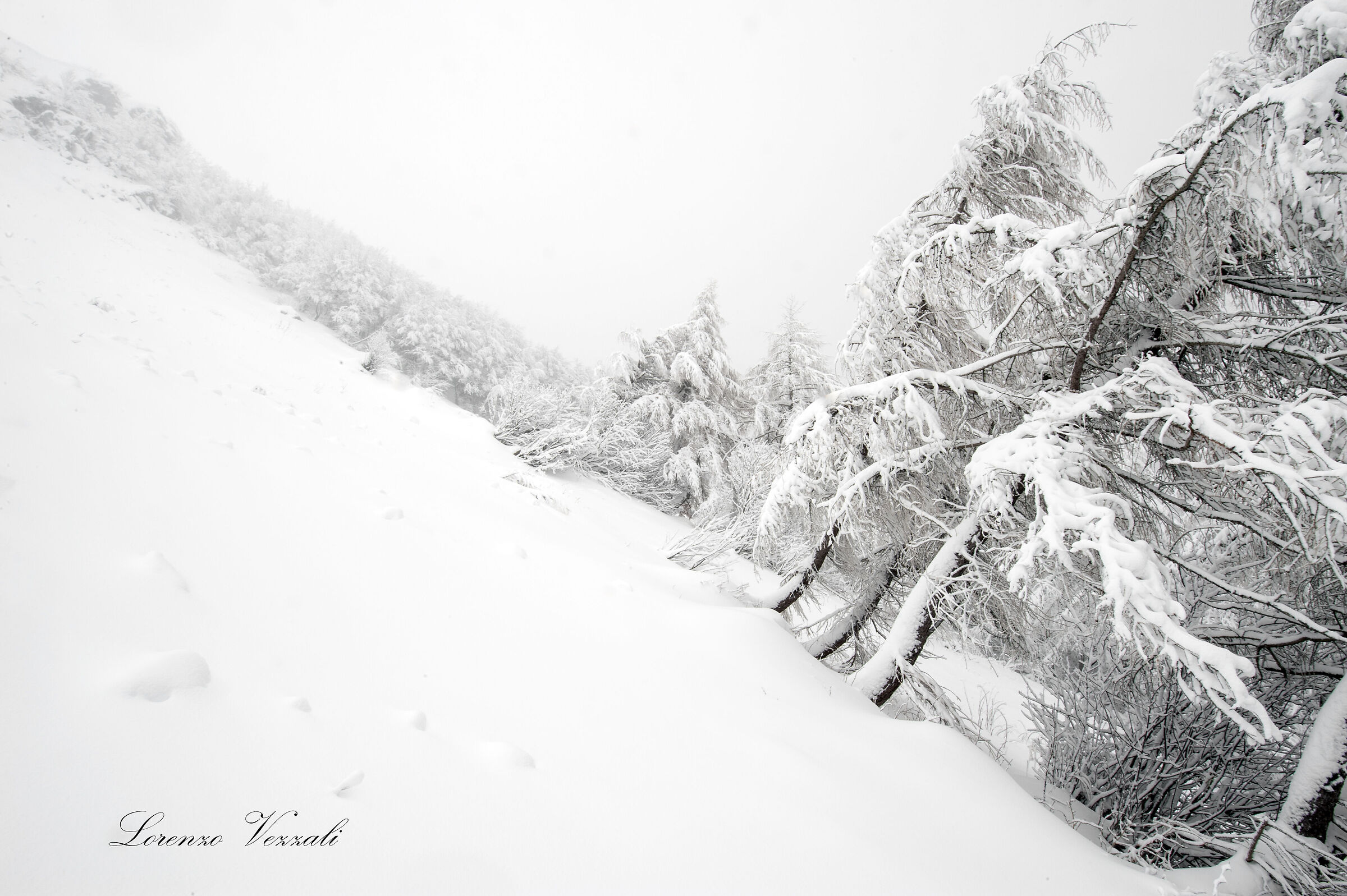 La gravità del freddo
