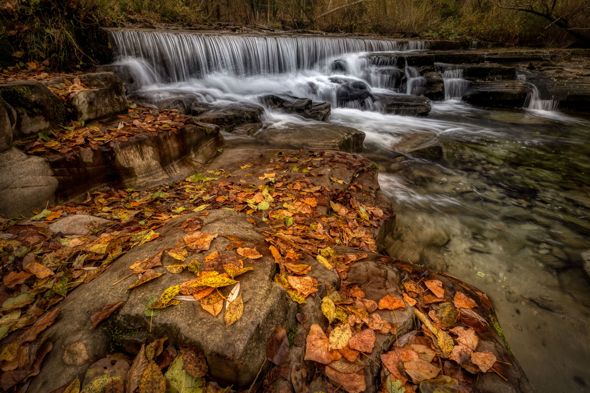 Autumn in Casentino VI