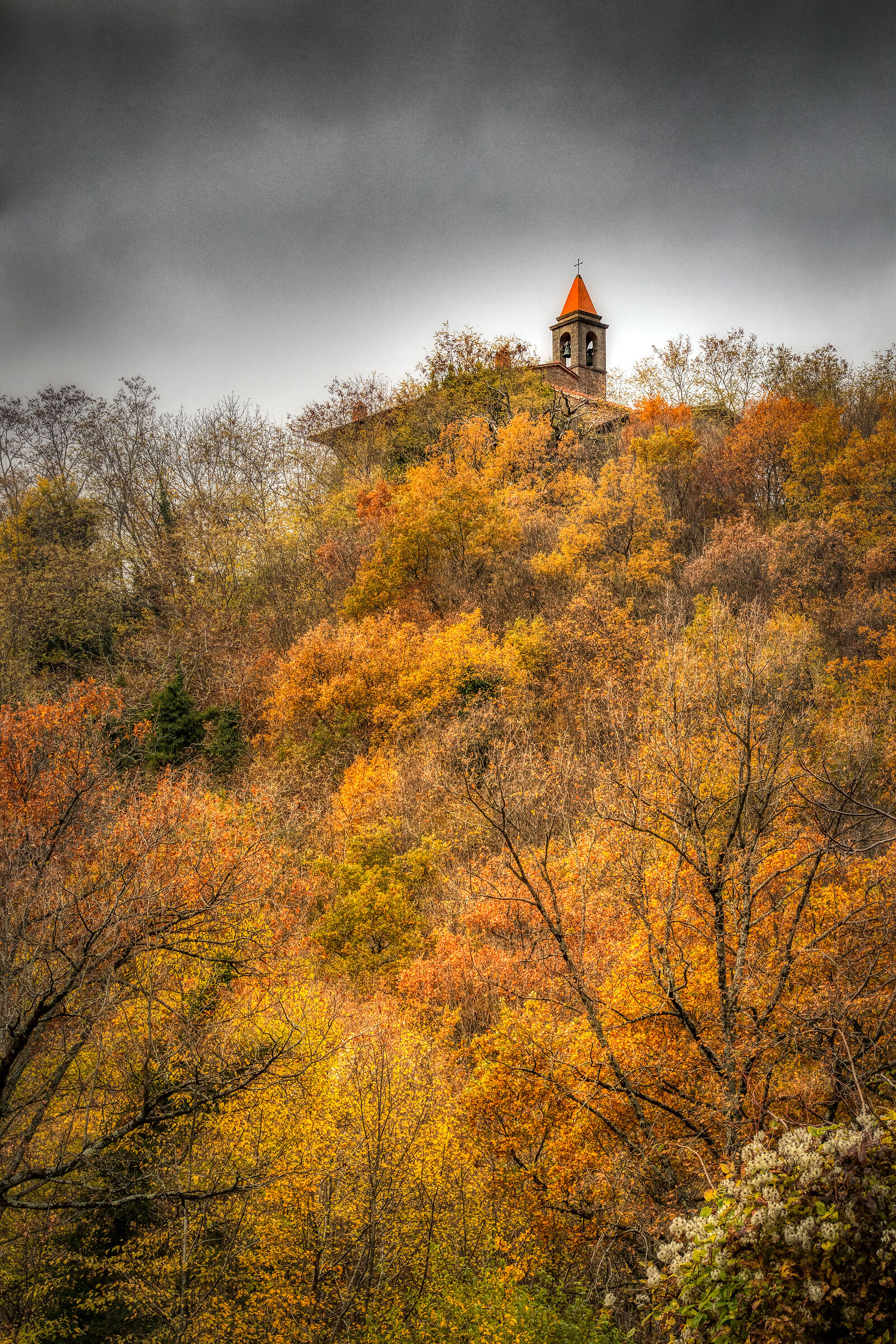 Autumn in Casentino VII