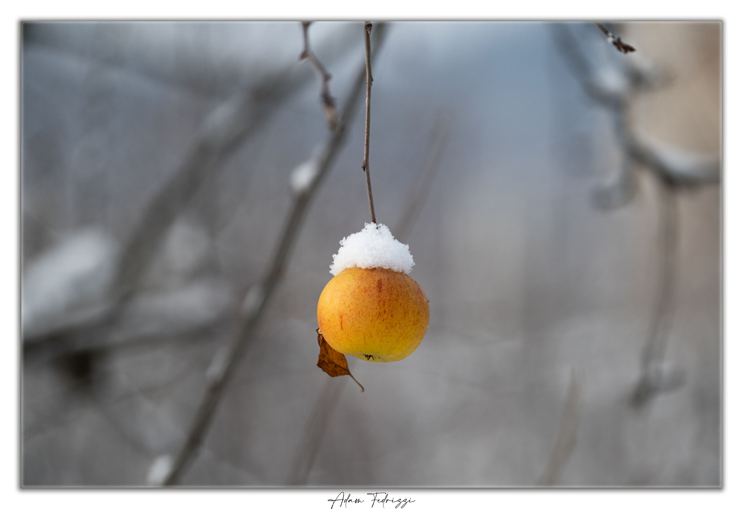 Winter