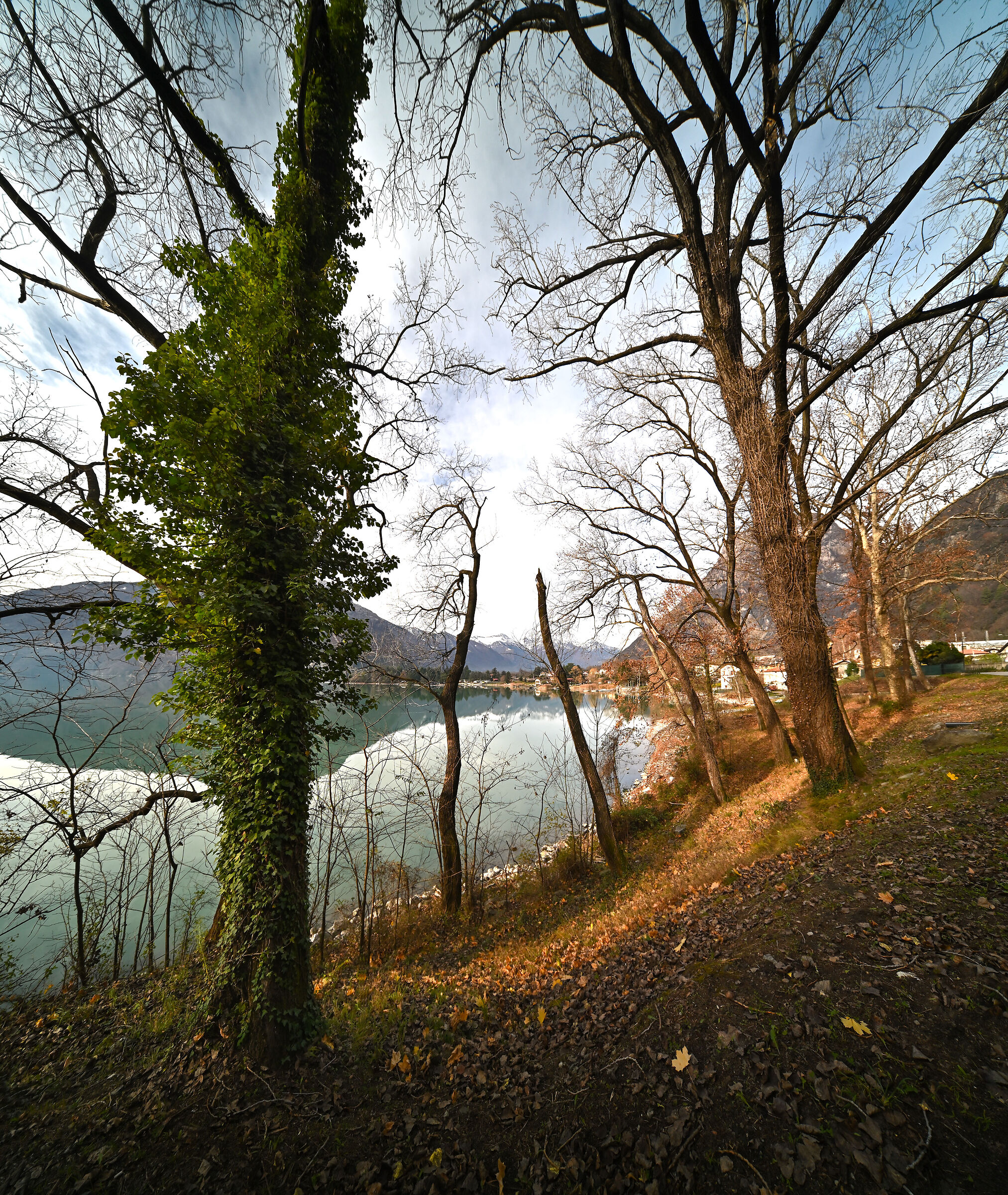 Campo Mezzola (SO) - Italy