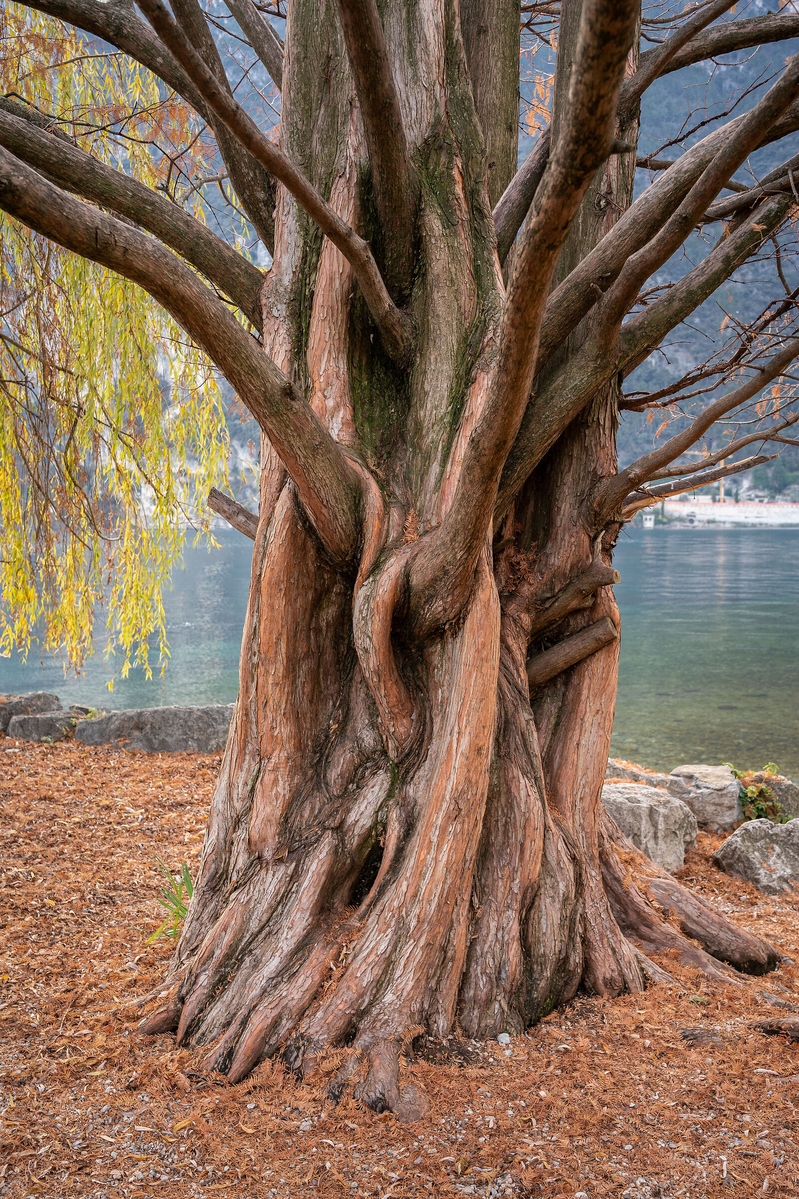La forza della natura (Riva del Garda - Trentino)