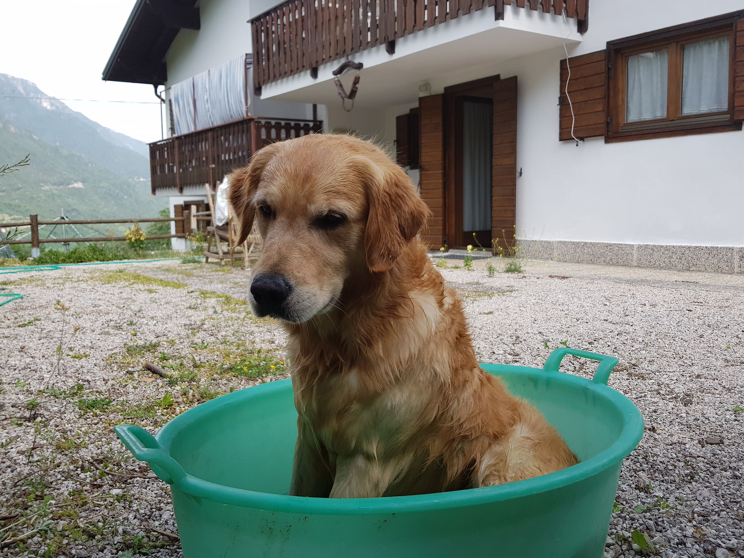 In... swimming pool...