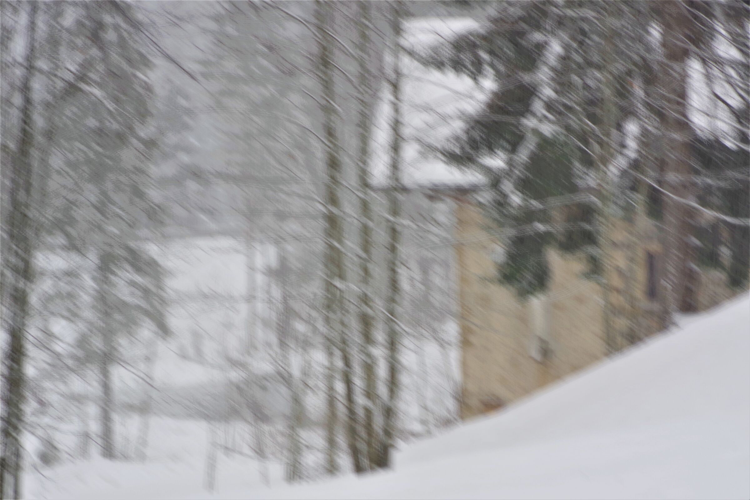 Fischia il vento ...